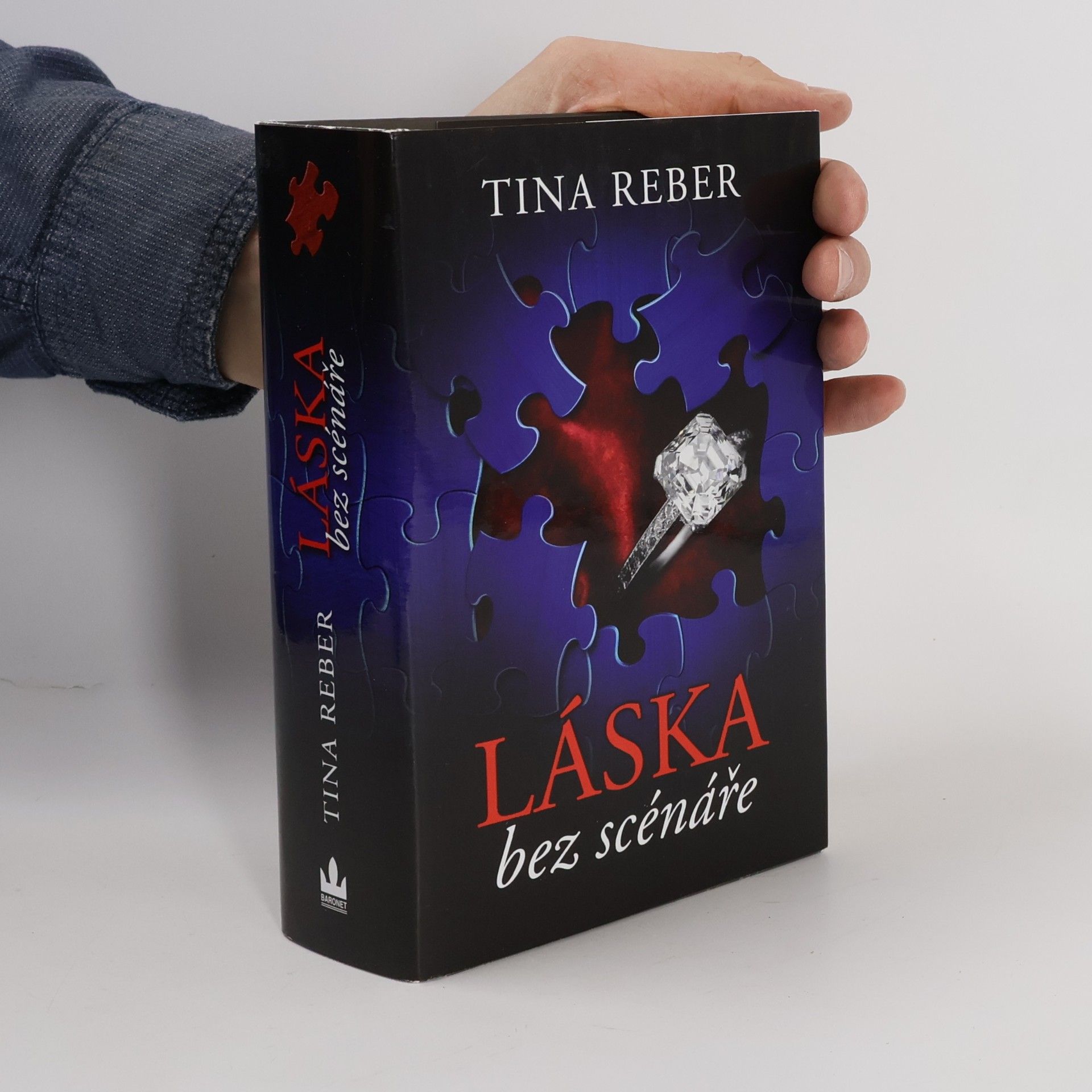Tina Reber Láska bez scénáře