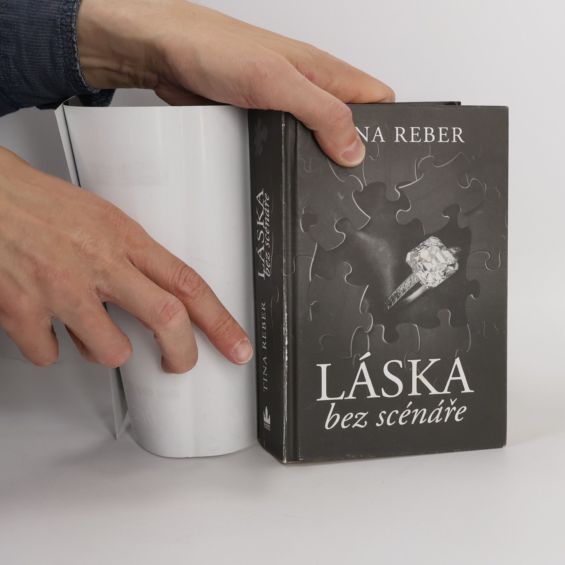 Tina Reber Láska bez scénáře