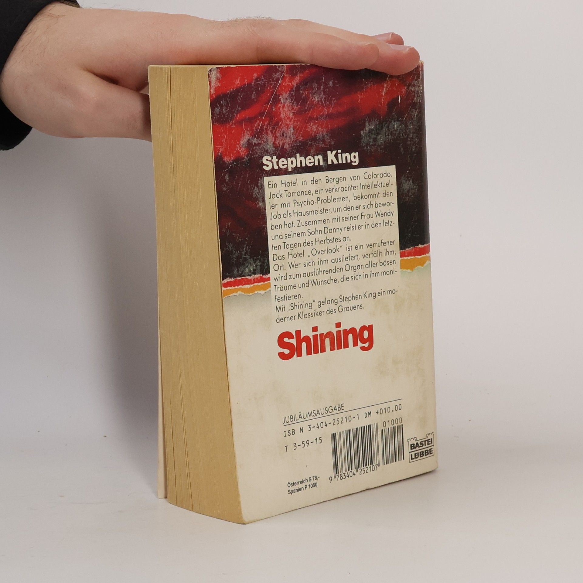 Stephen King Shining