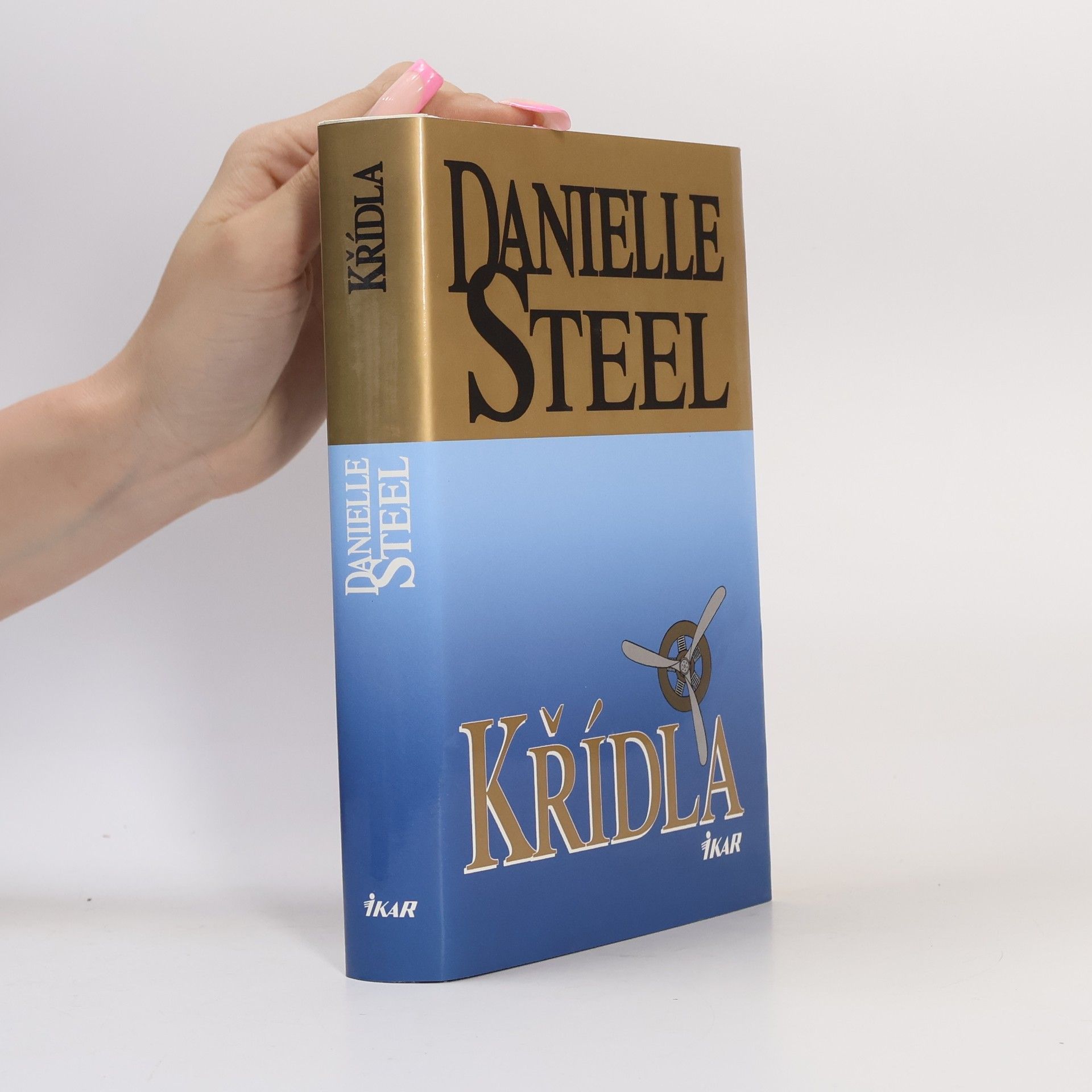 Danielle Steel Křídla