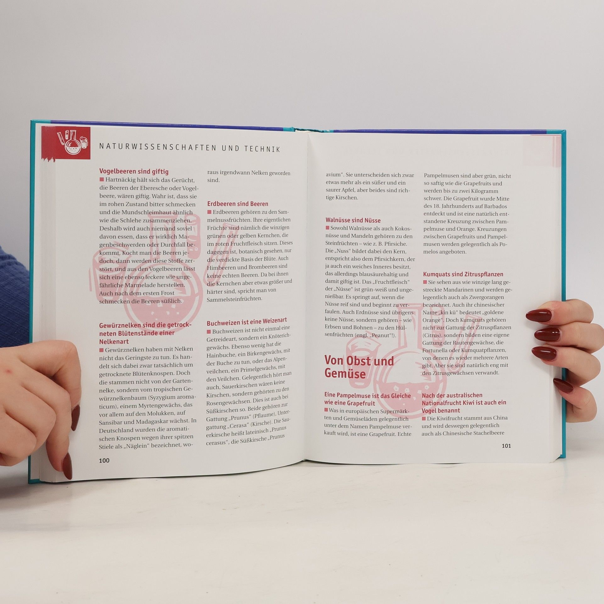 Christa Pöppelmann 1000 Irrtümer der Allgemein-Bildung