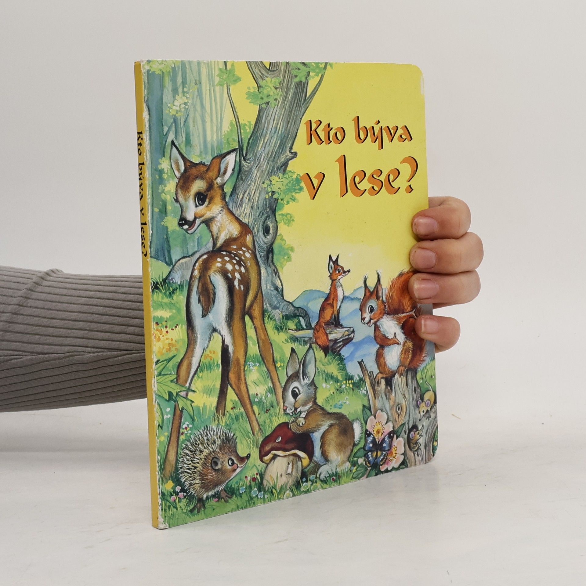 Autorenkollektiv Kto býva v lese?