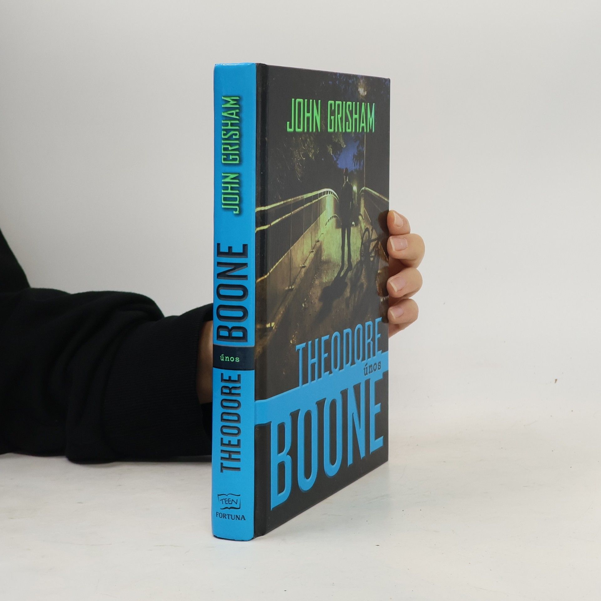 John Grisham Theodore Boone. Únos