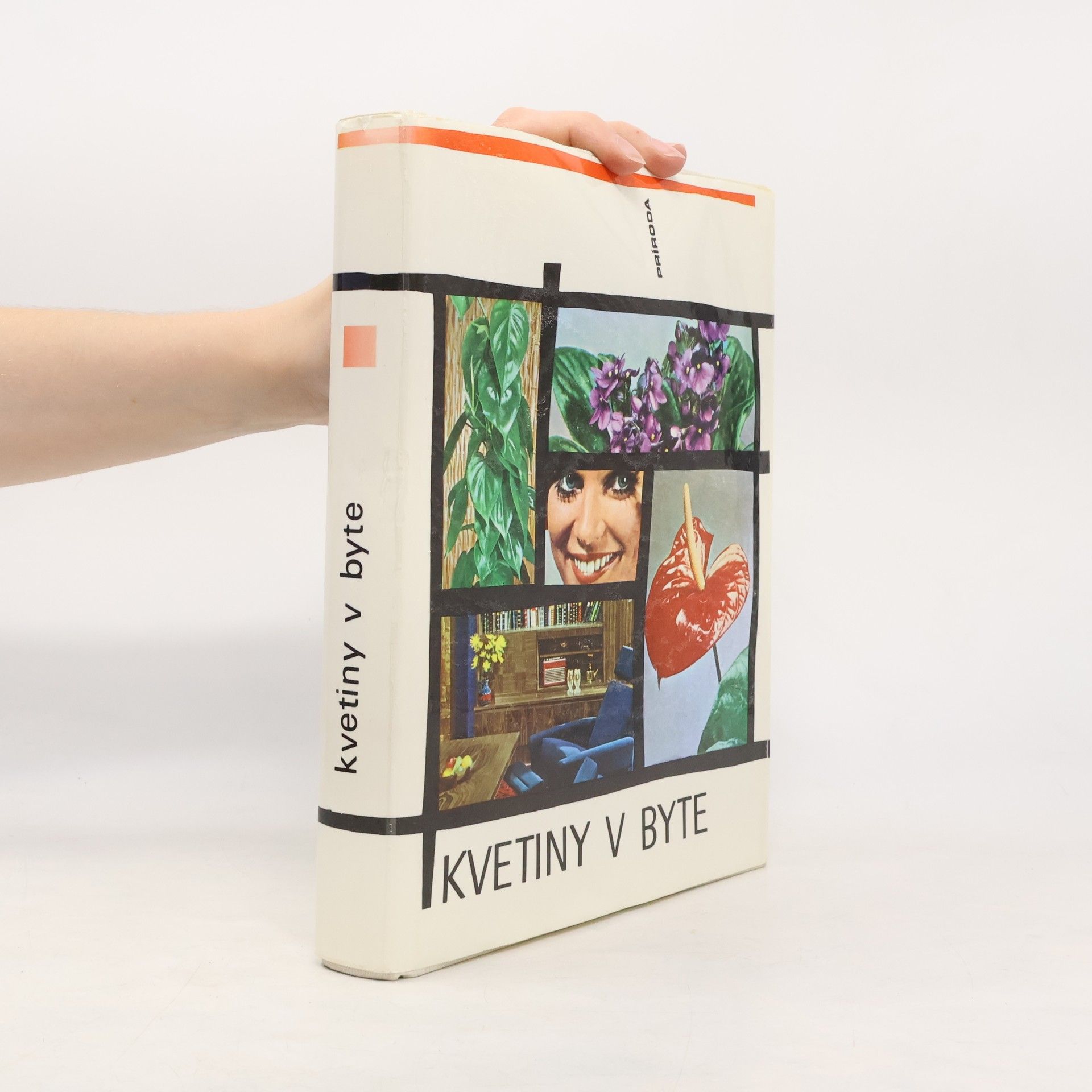 Jaroslav Machovec Kvetiny v byte