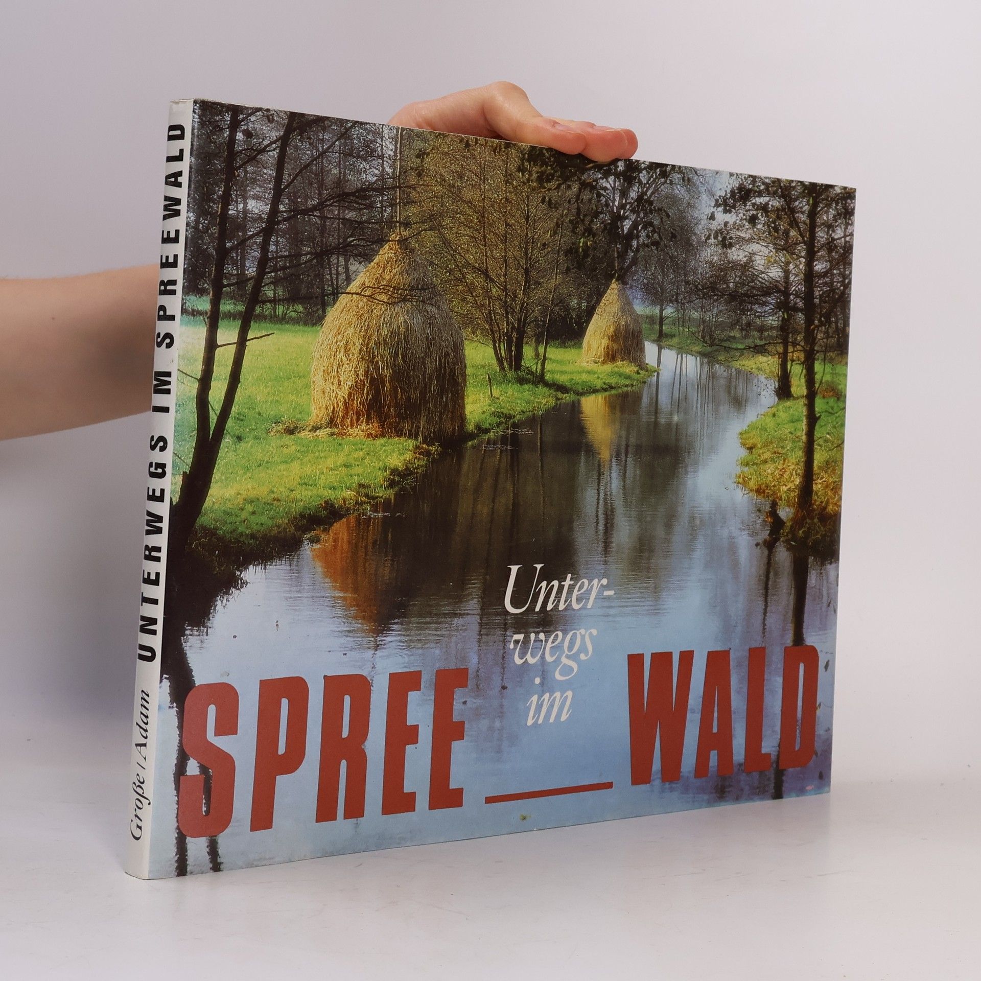 Gerald Grosse Unterwegs im Spreewald