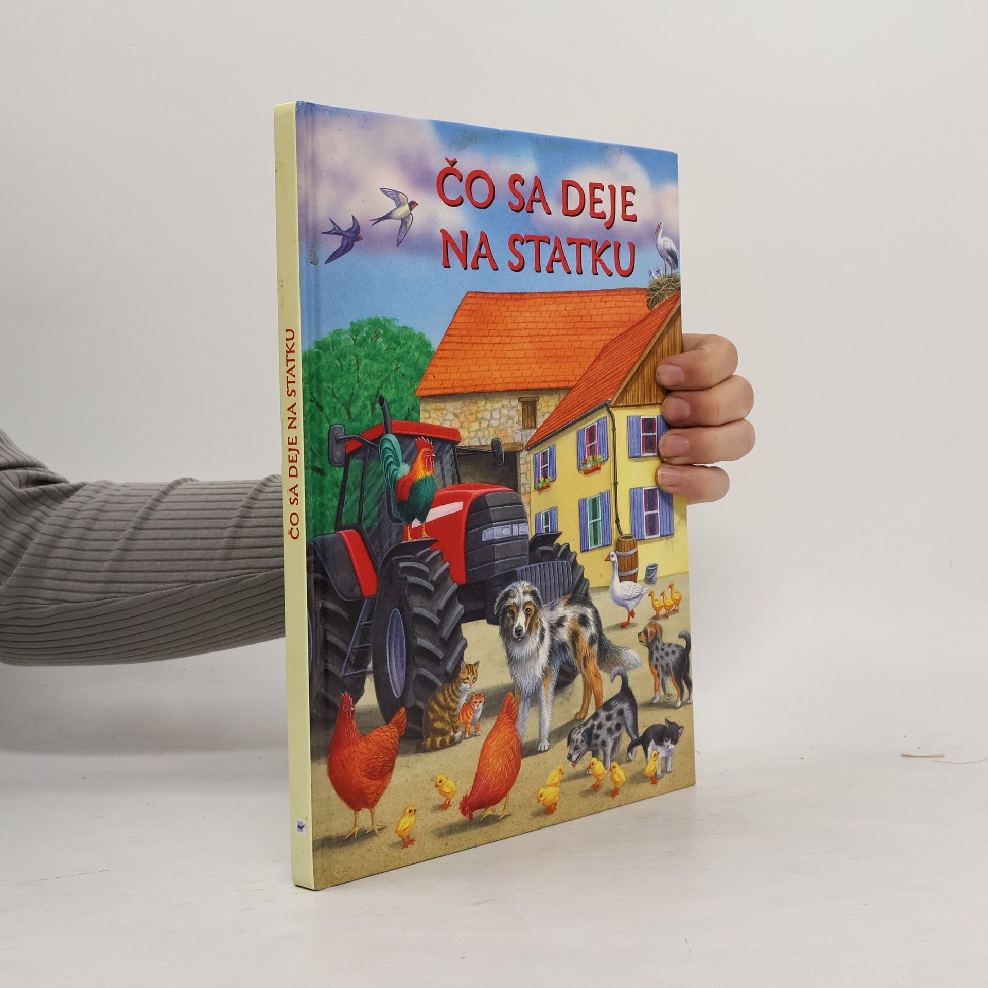 Autorenkollektiv Čo sa deje na statku