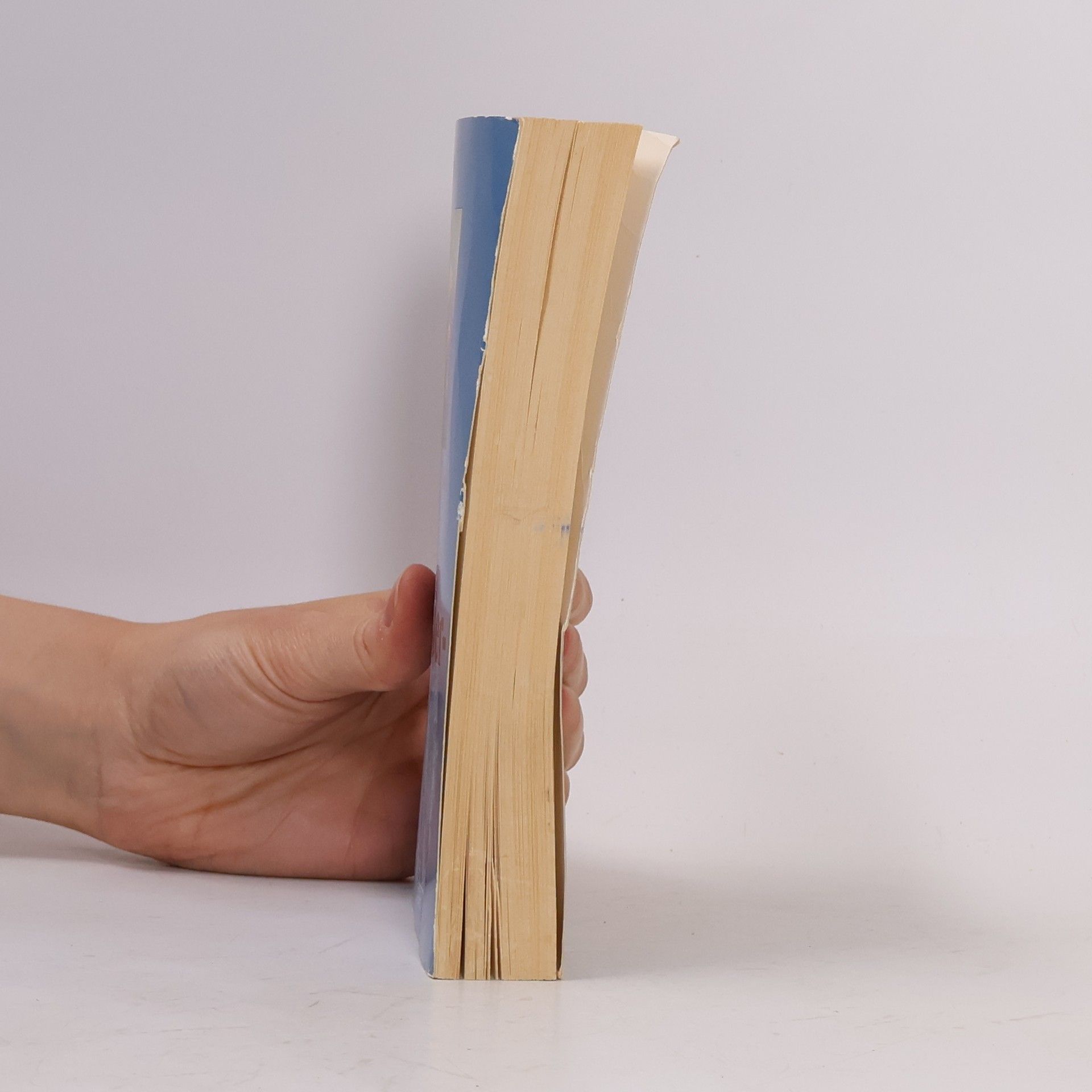 Diane Paul Das Linkshänderbuch