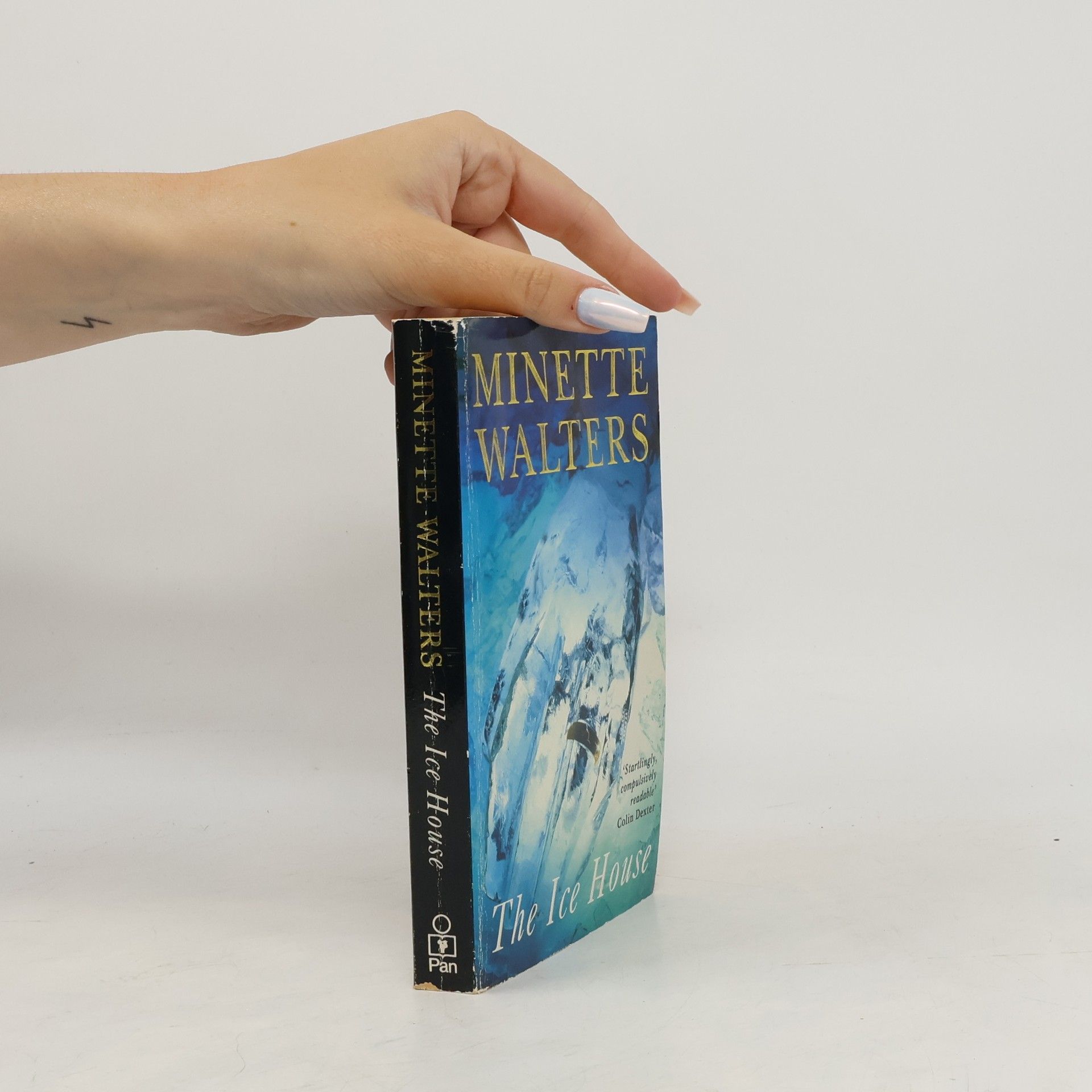Minette Walters The Ice House