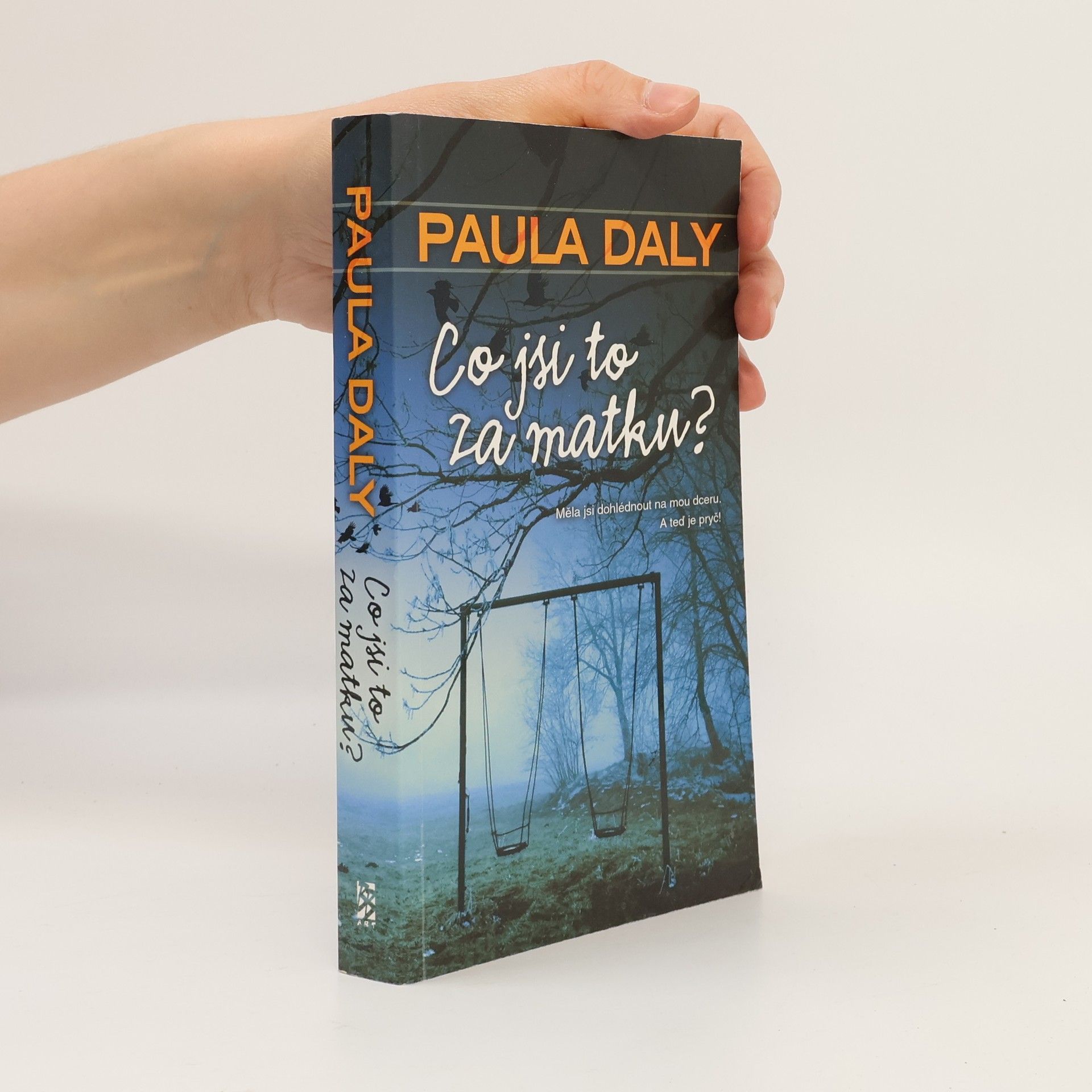 Paula Daly Co jsi to za matku?