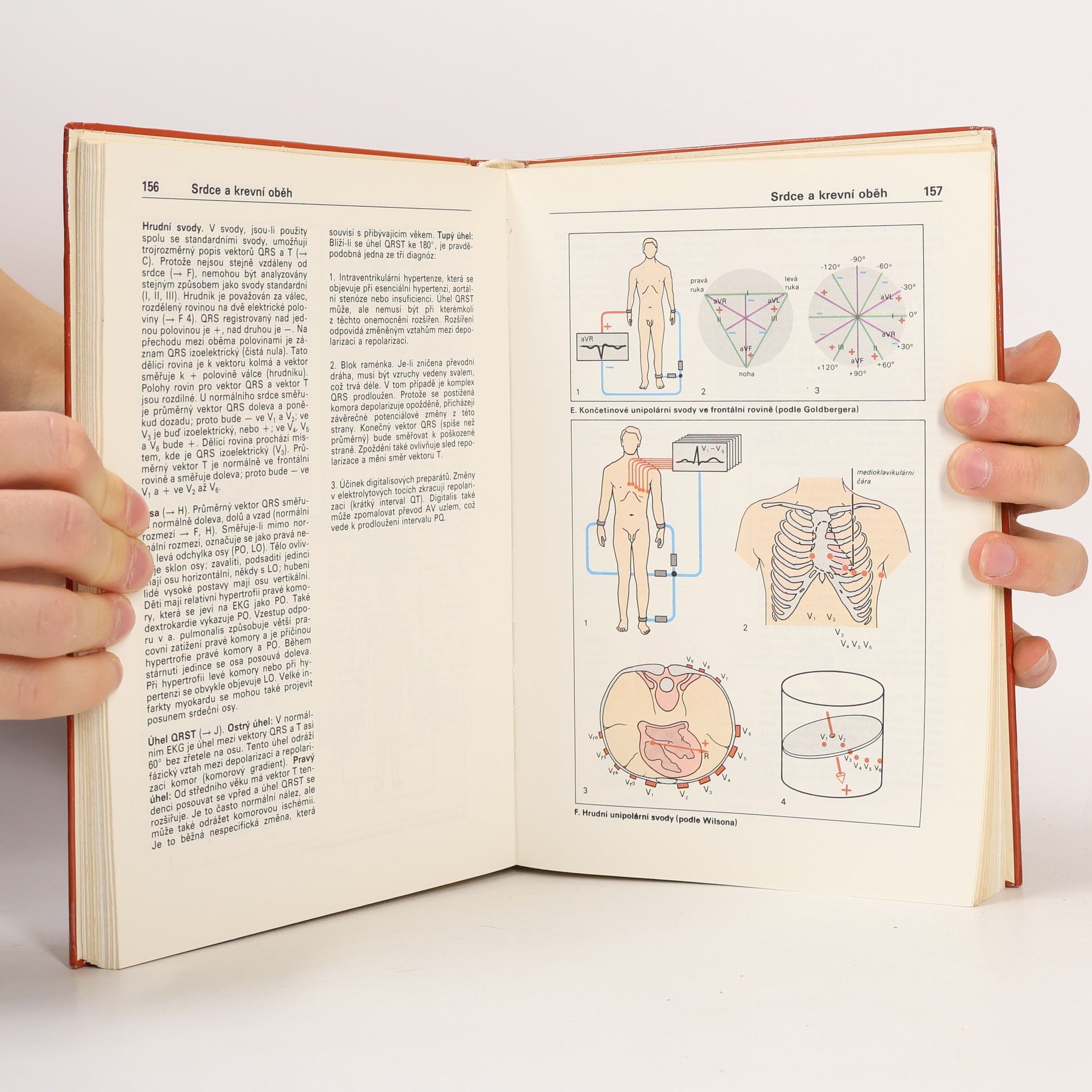 Stefan Silbernagl Atlas fyziologie člověka