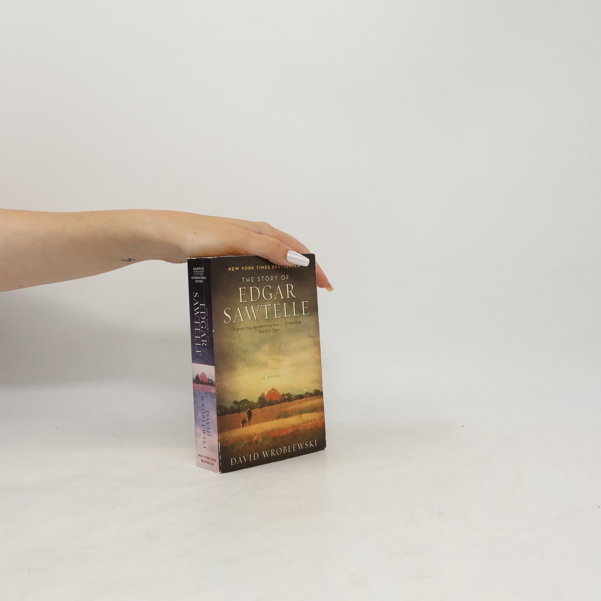 David Wroblewski The Story of Edgar Sawtelle - Fiction International Edition