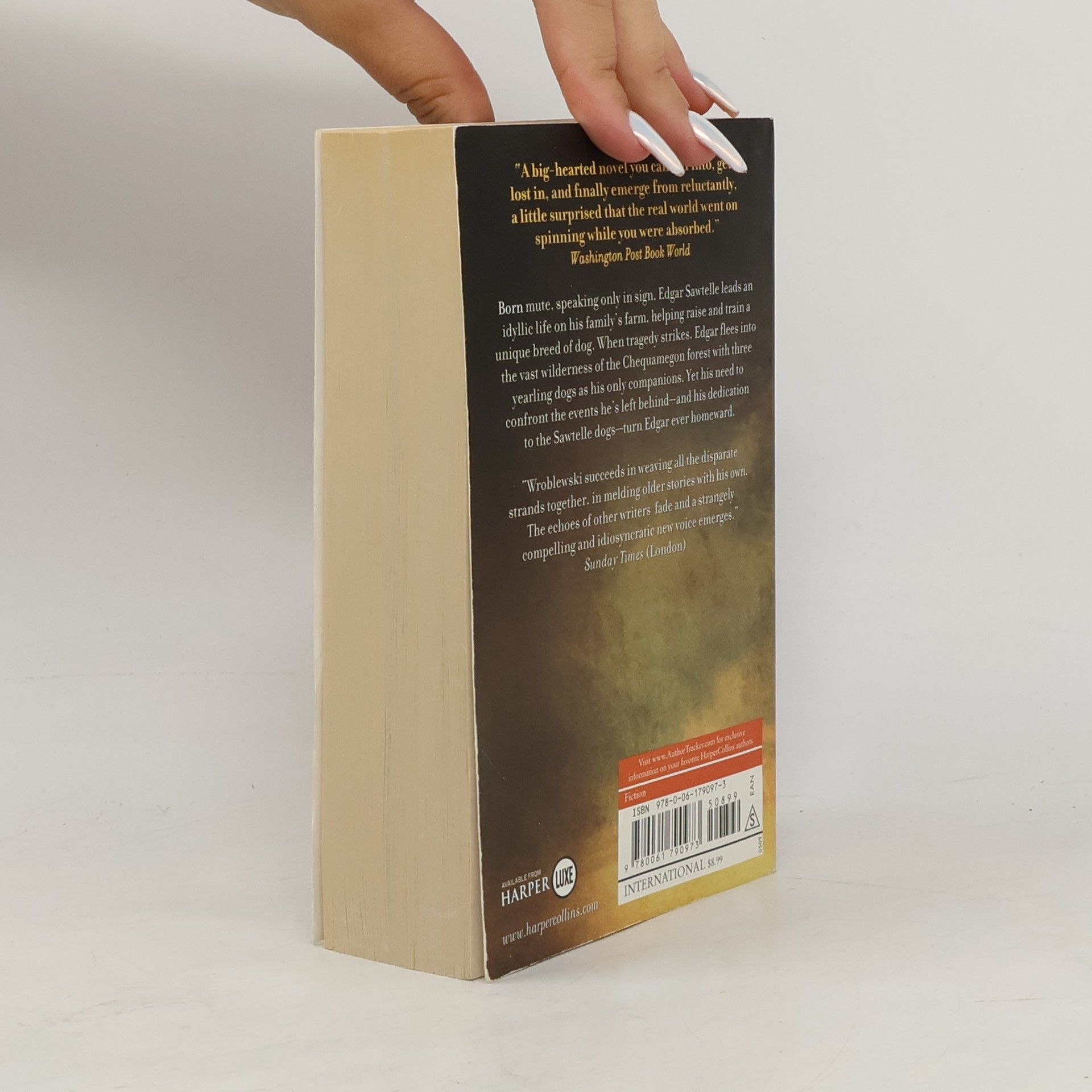 David Wroblewski The Story of Edgar Sawtelle - Fiction International Edition