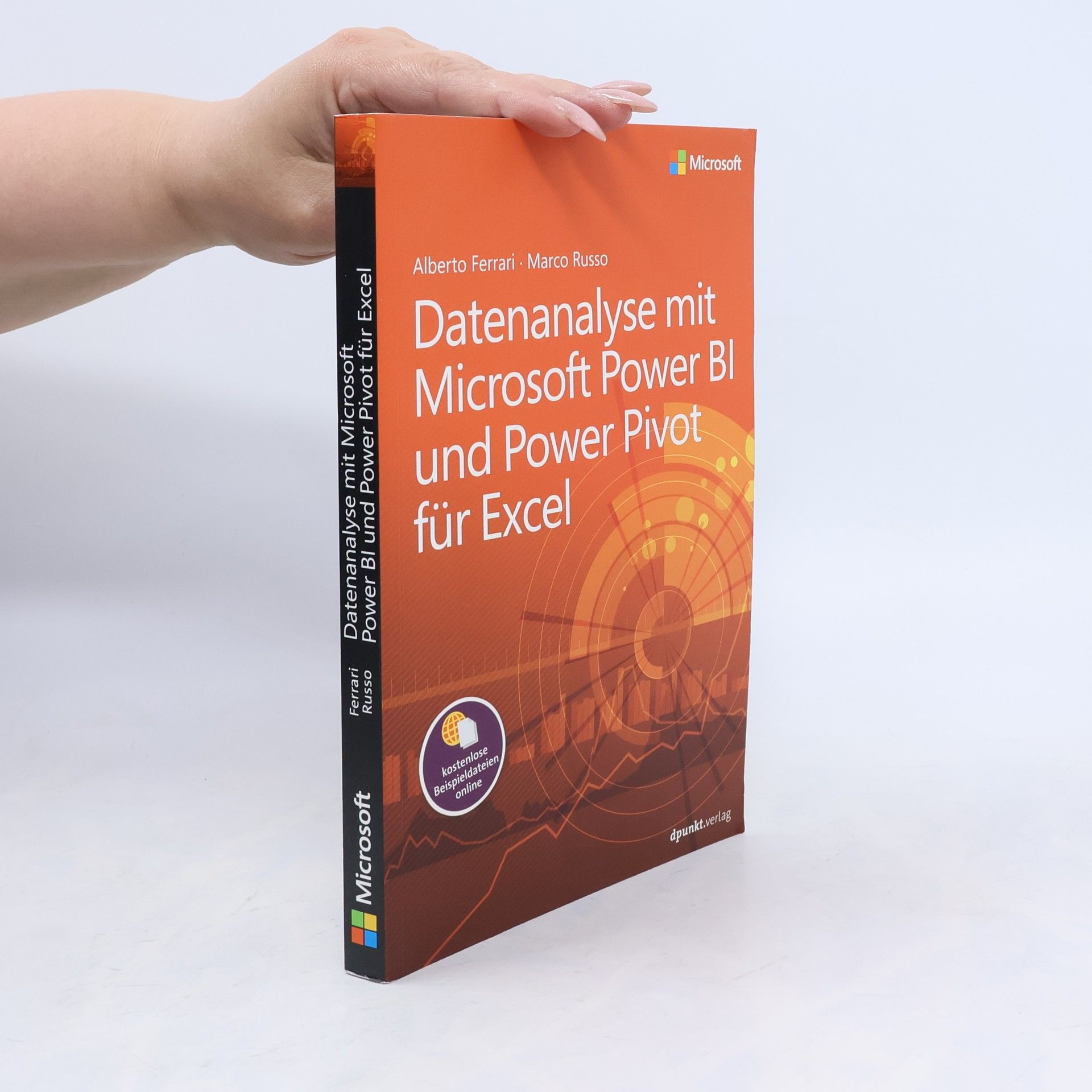 Alberto Ferrari Datenanalyse mit Microsoft Power BI und Power Pivot für Excel