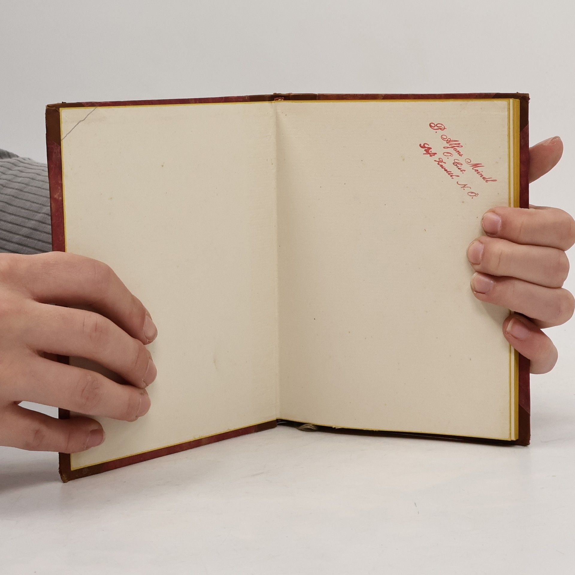 Theodor Storm Stormliederbuch