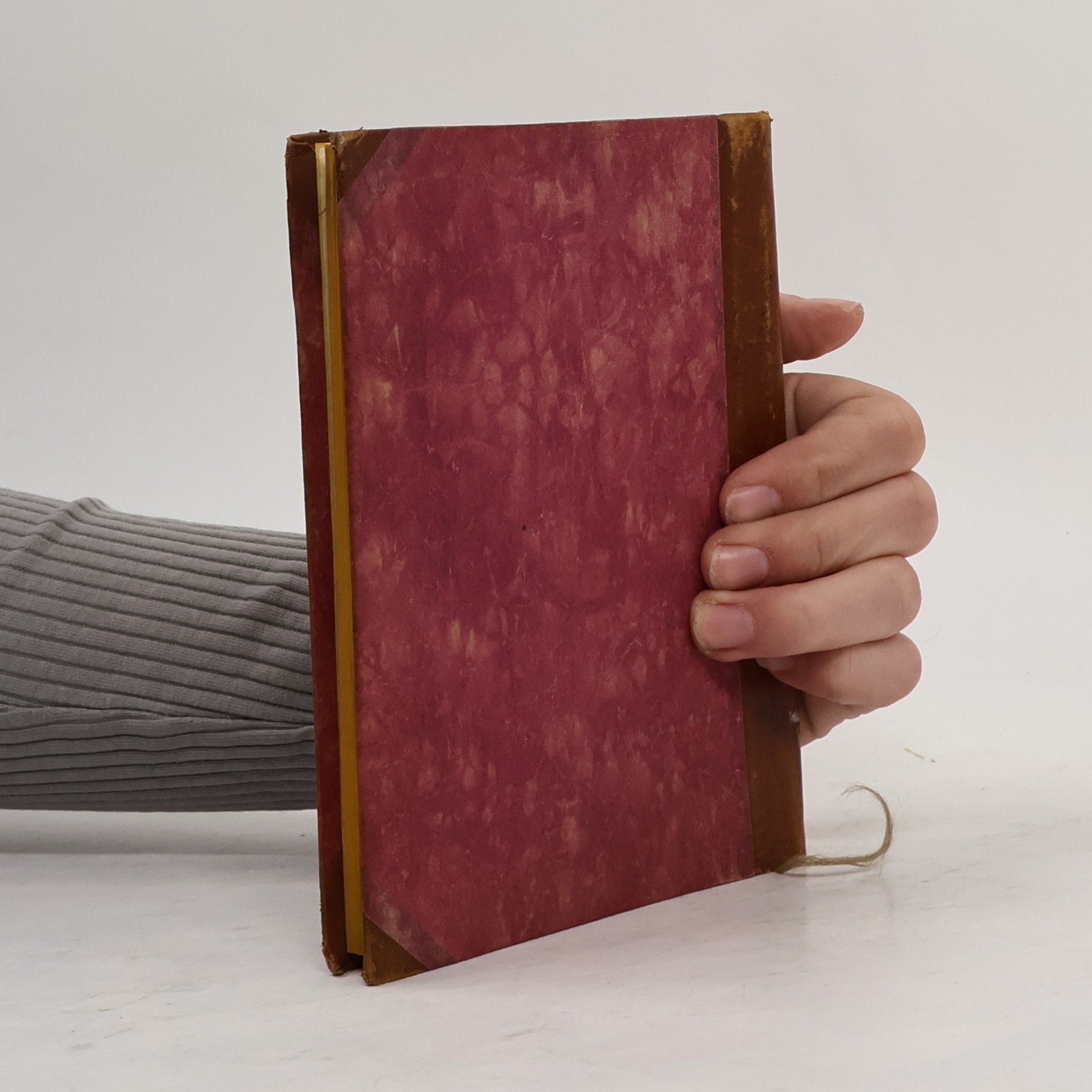 Theodor Storm Stormliederbuch
