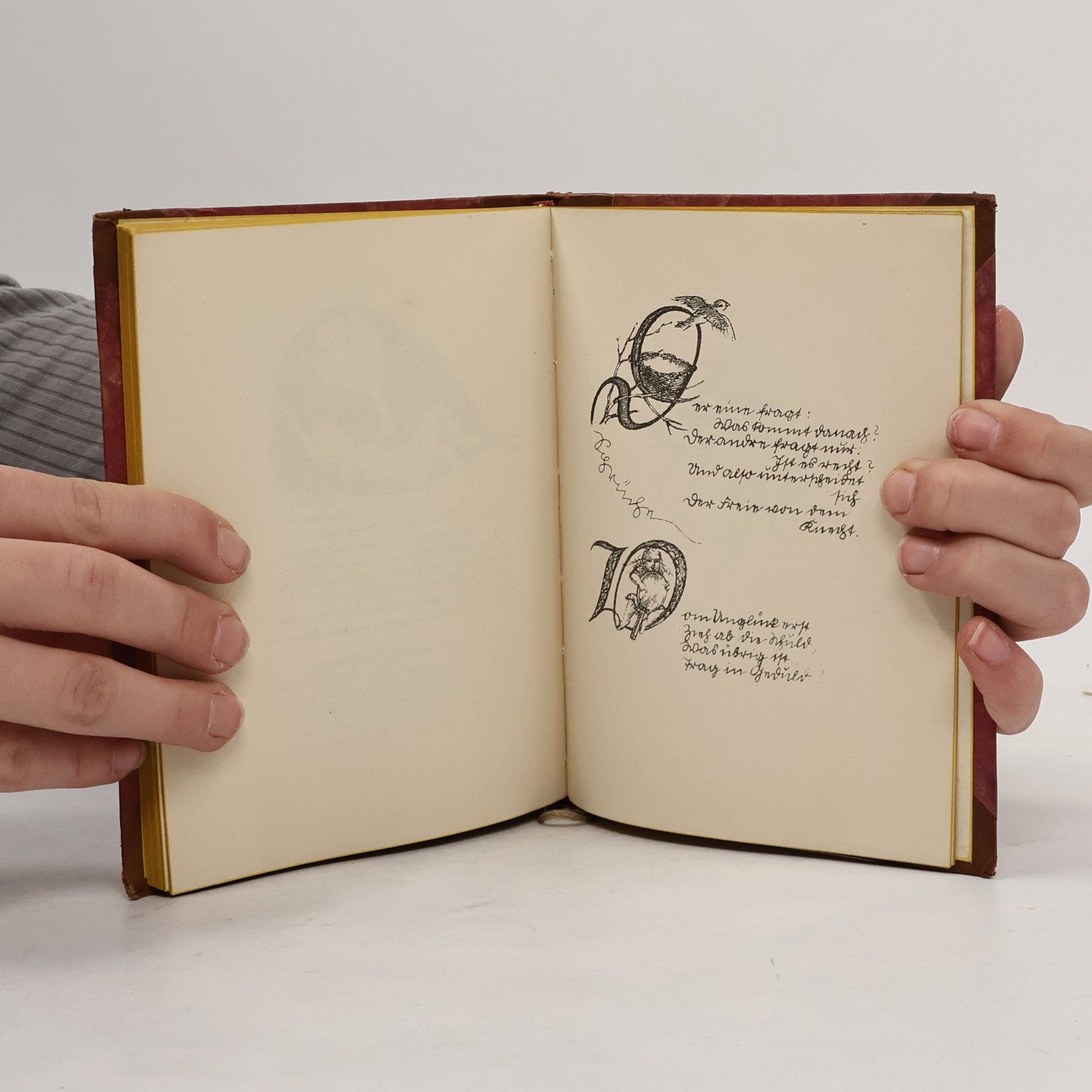 Theodor Storm Stormliederbuch