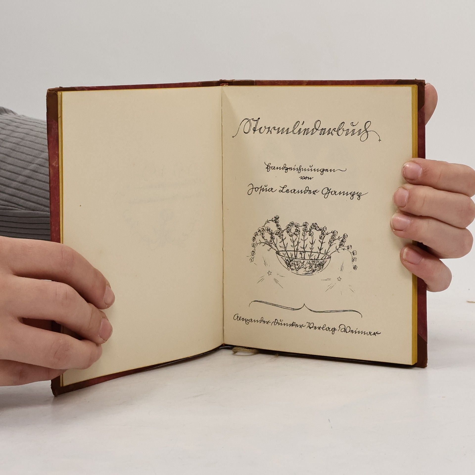 Theodor Storm Stormliederbuch