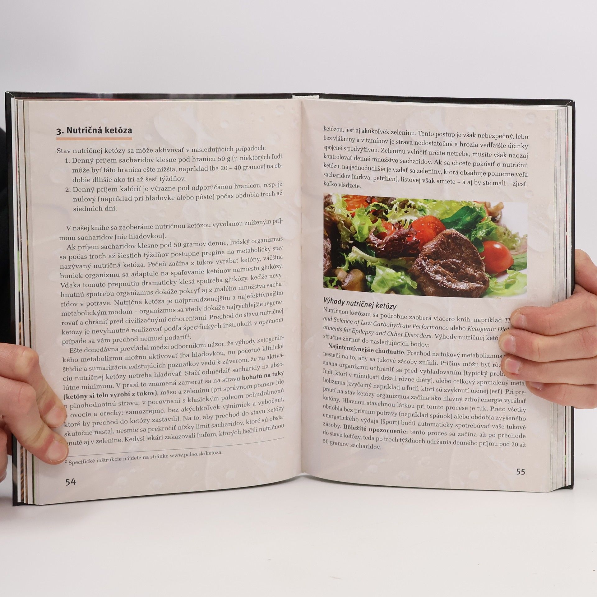 Miroslav Karpaty Moderné paleo