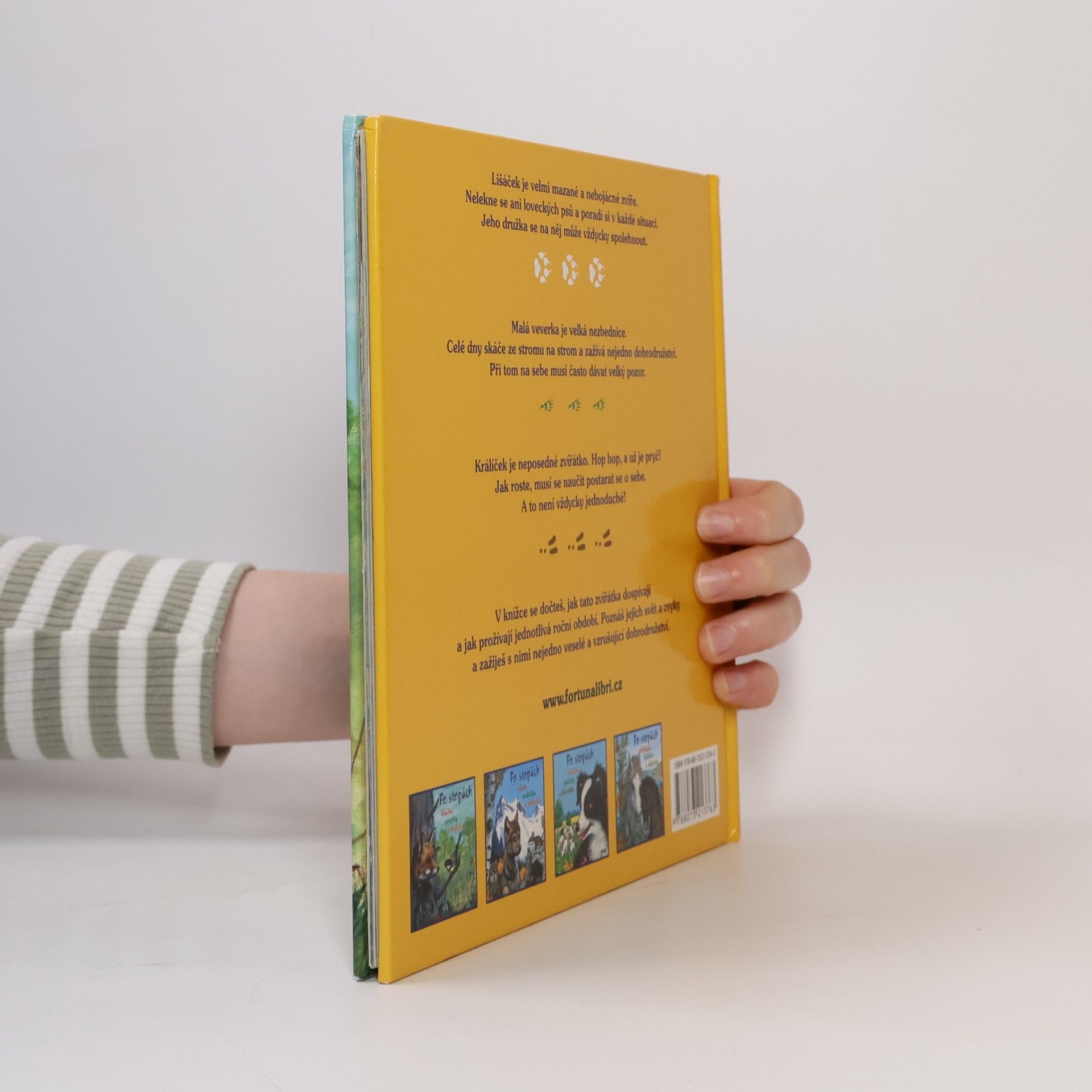 Autores varios Po stopách lišáčka, veverky a králíčka
