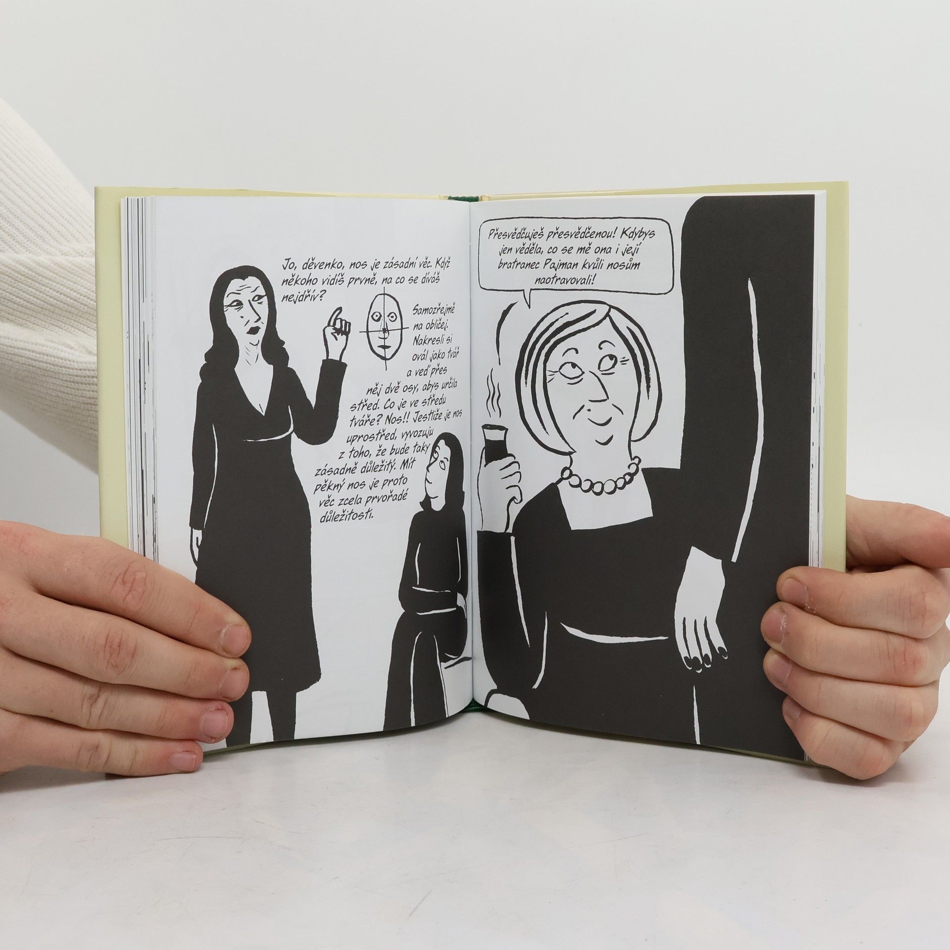 Marjane Satrapi Šitíčko