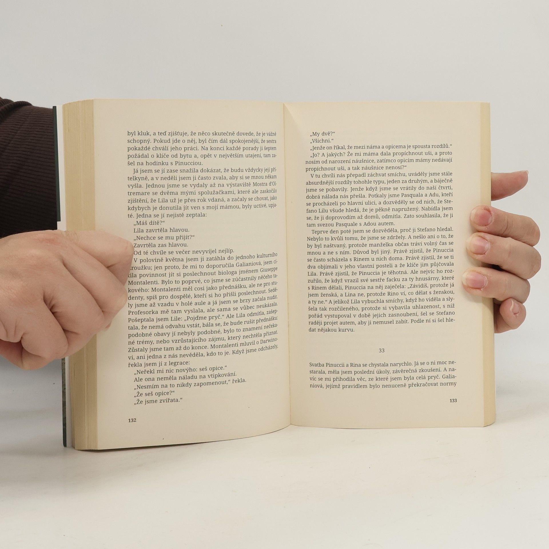 Elena Ferrante Geniální přítelkyně 2. Příběh nového jména