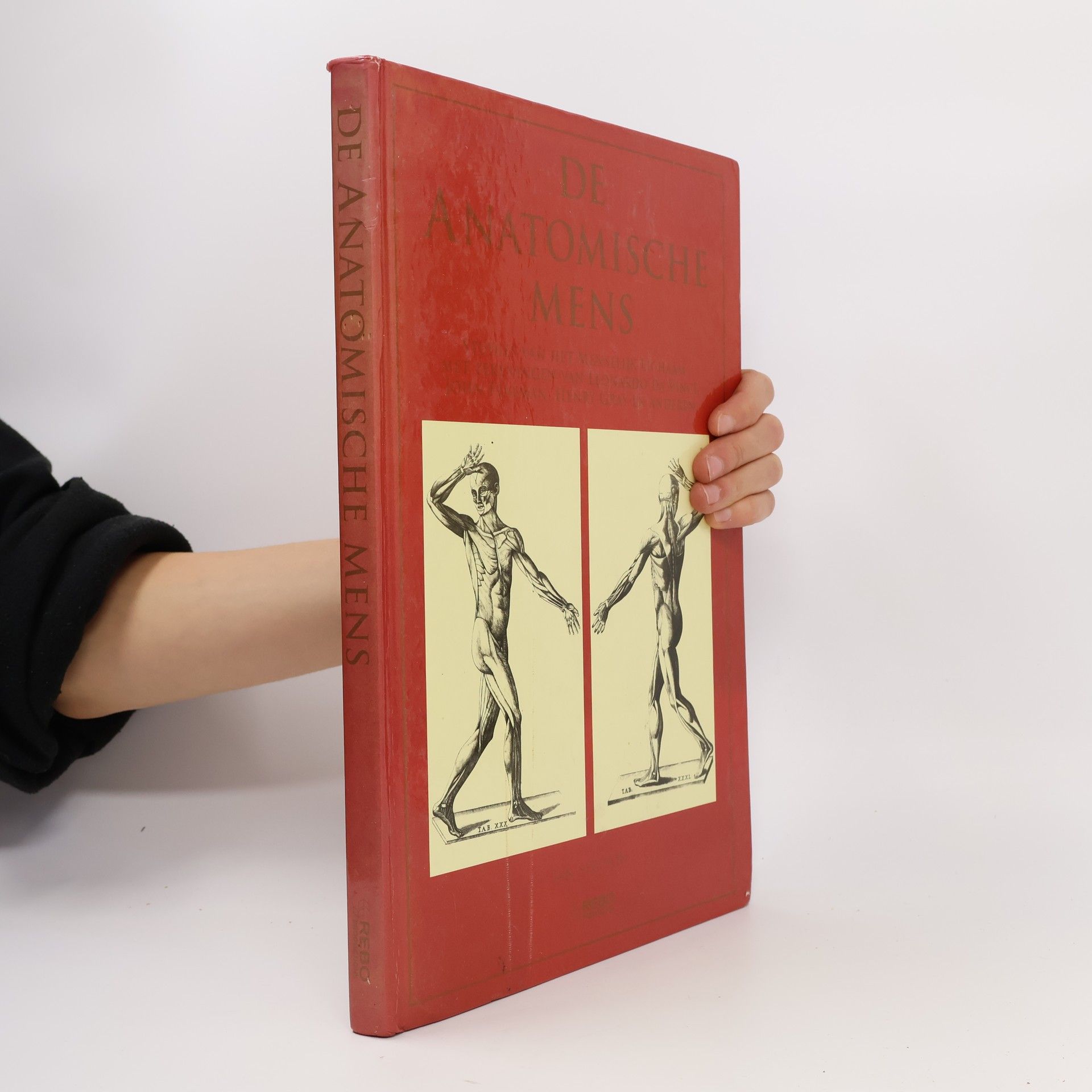 Henri Gastaut De Anatomische Mens