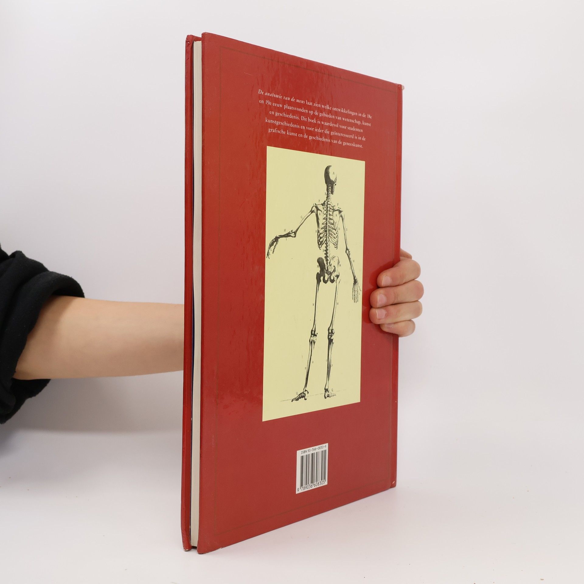 Leonardo da Vinci De Anatomische Mens