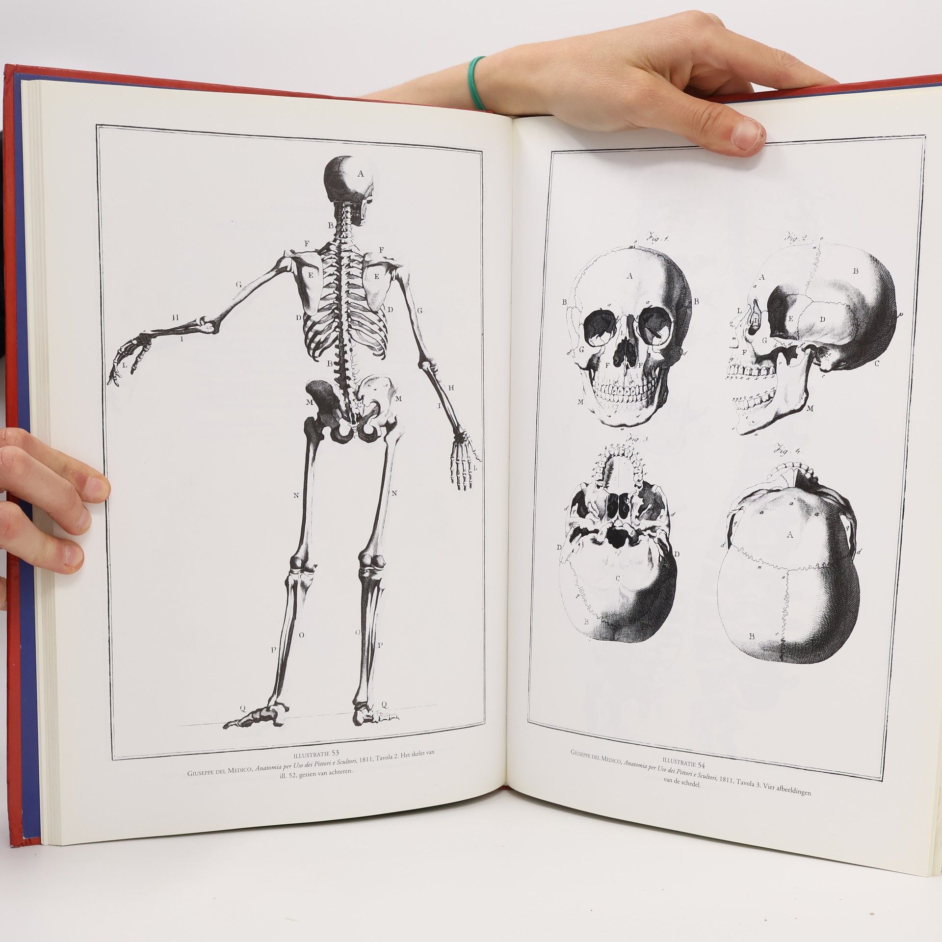 Leonardo da Vinci De Anatomische Mens