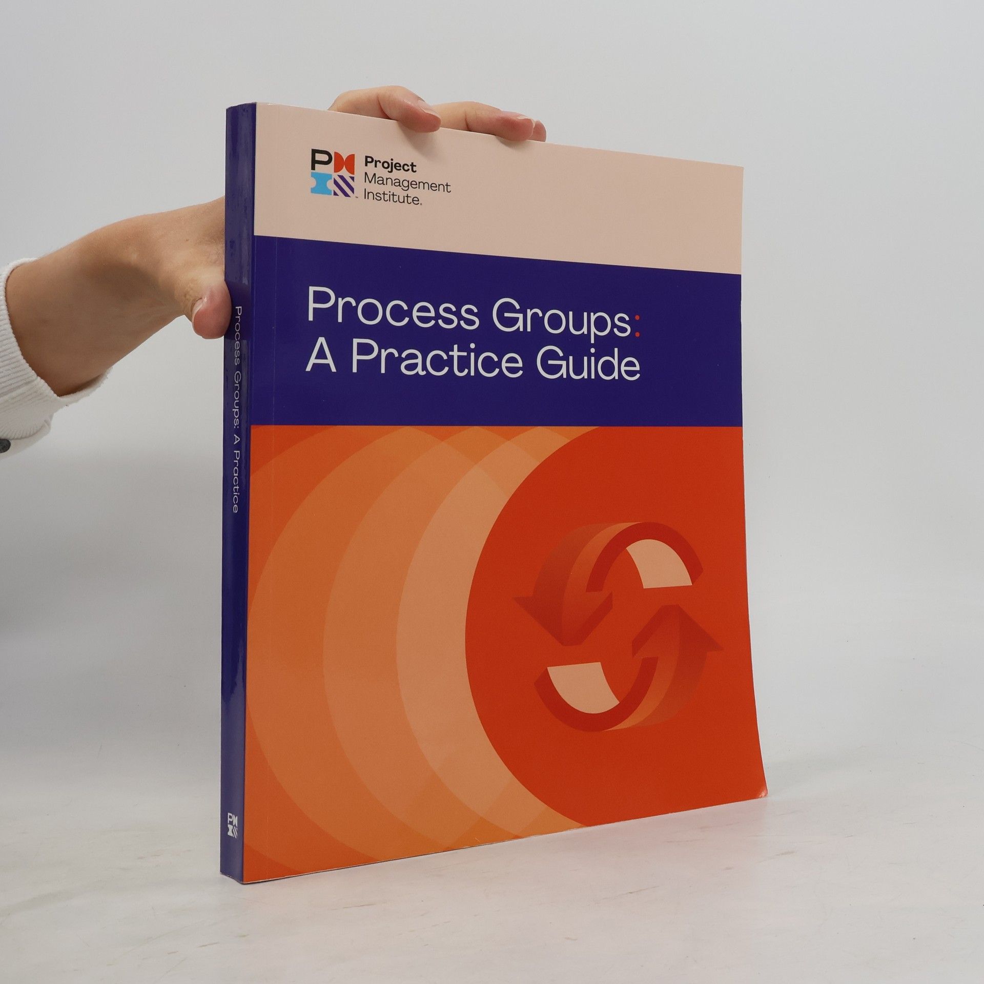 Project Management Institute PMI Process Groups