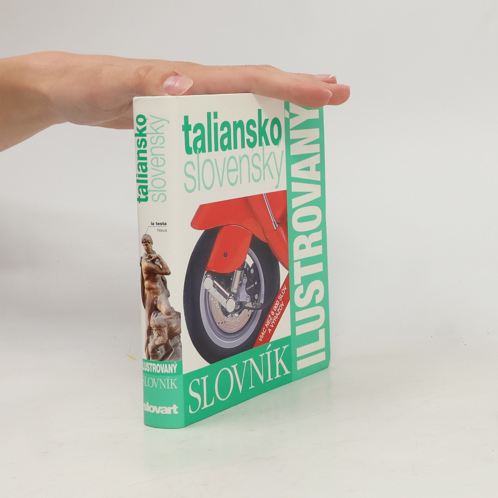 Autorenkollektiv Ilustrovaný slovník taliansko-slovenský