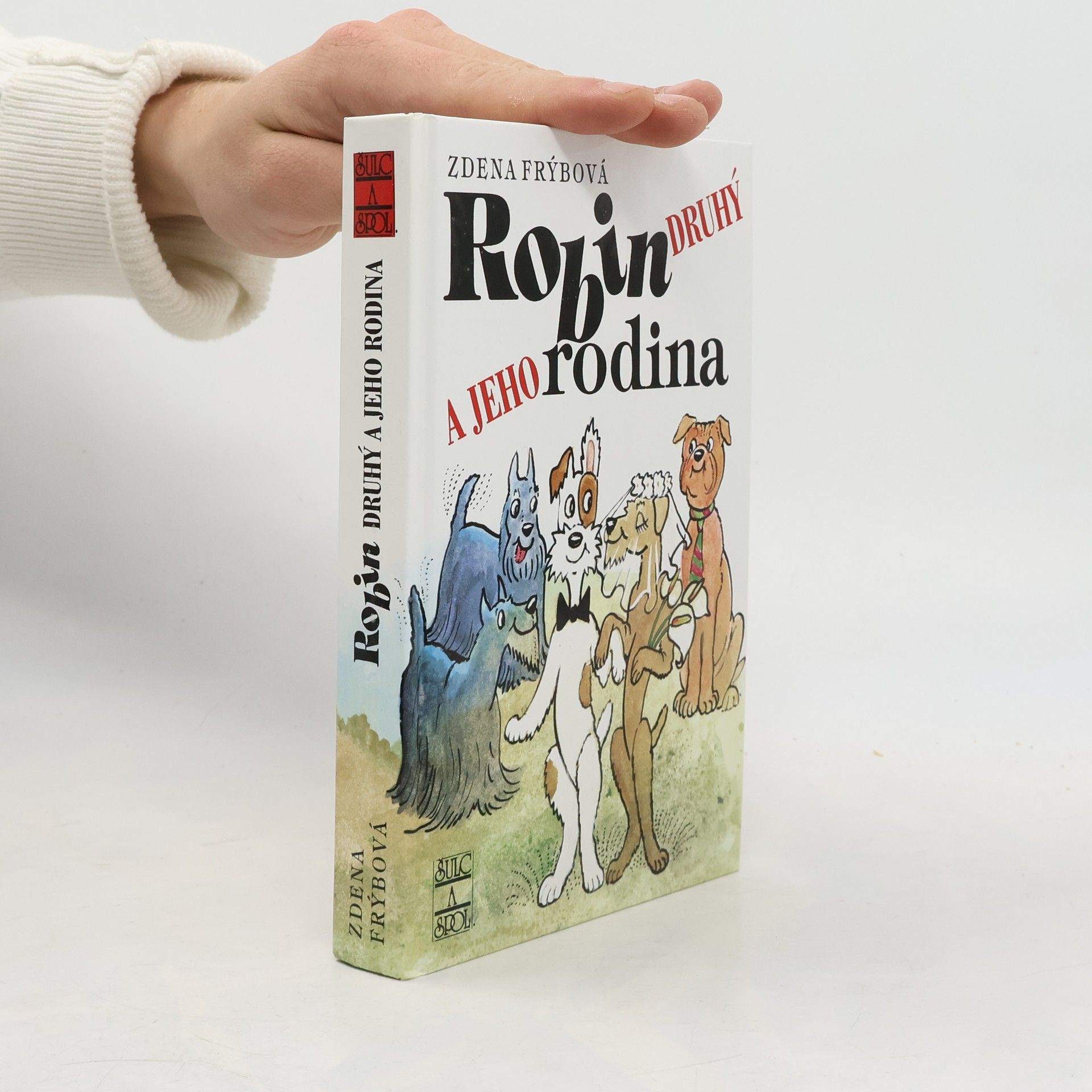 Zdena Frýbová Robin Druhý a jeho rodina