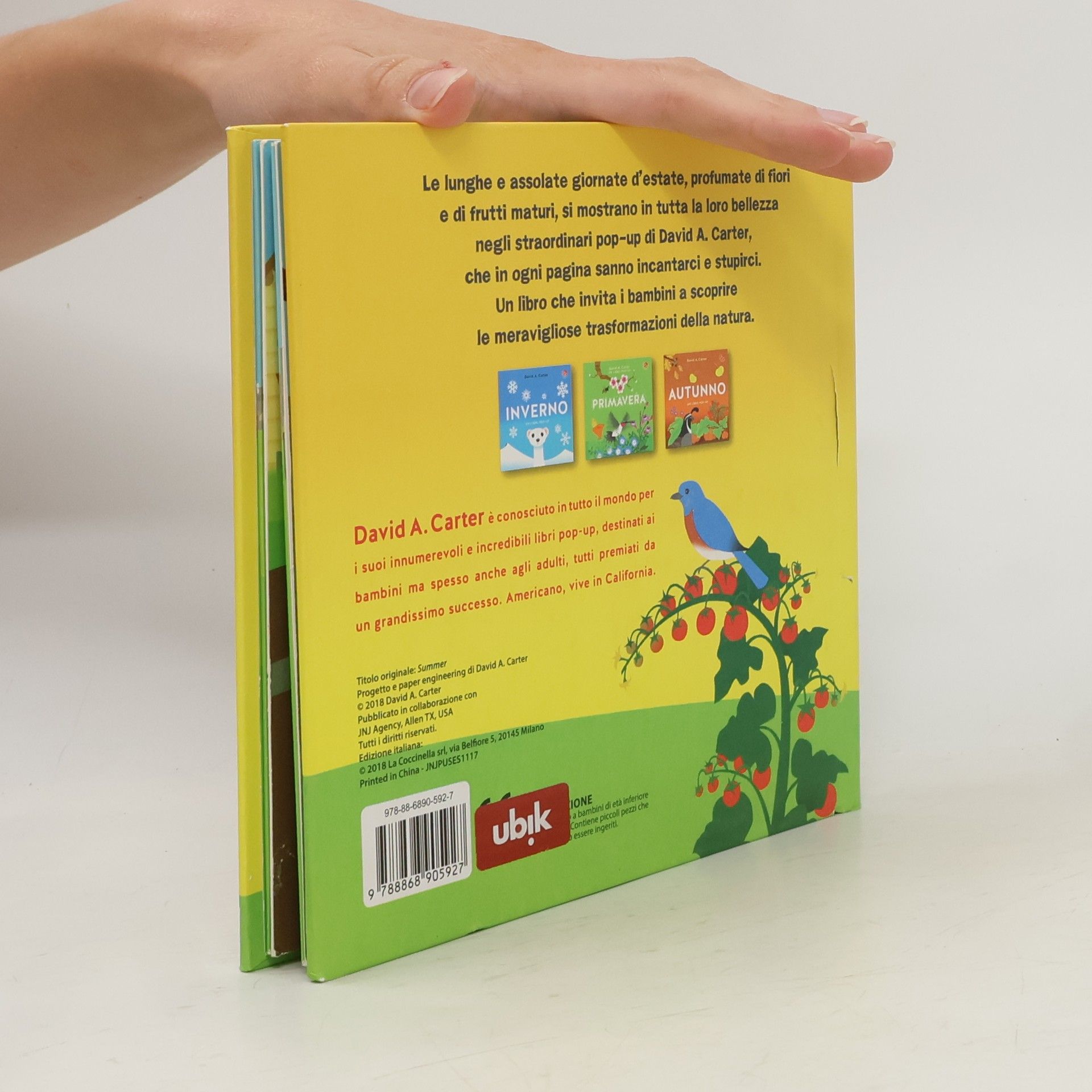 David A. Carter Estate. Libro pop-up