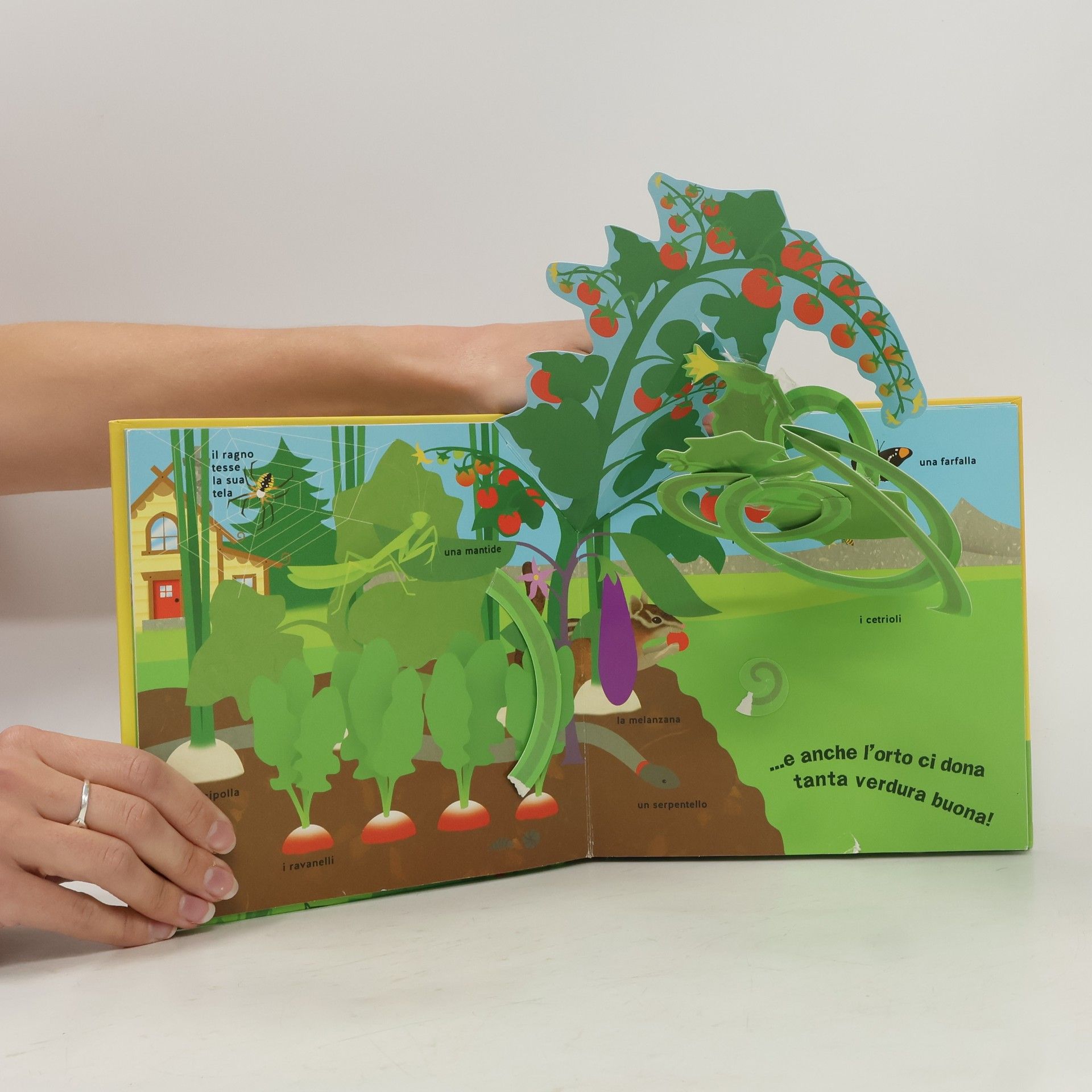 David A. Carter Estate. Libro pop-up