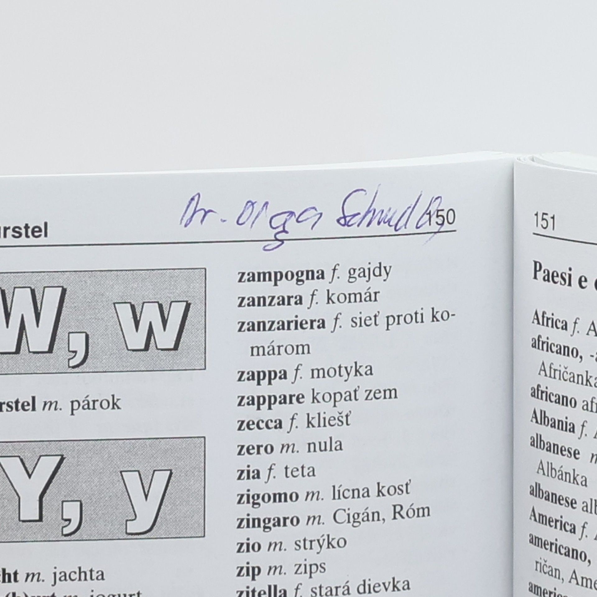 Autores varios Italiano-slovacco dizionario. Slovensko-talinsky slovník