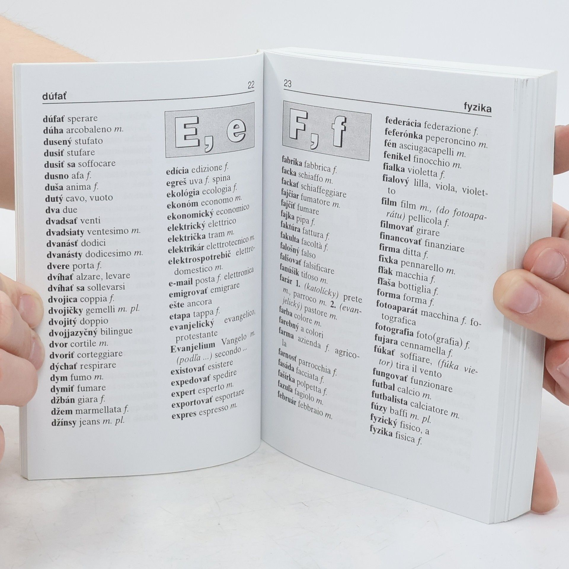 Autores varios Italiano-slovacco dizionario. Slovensko-talinsky slovník