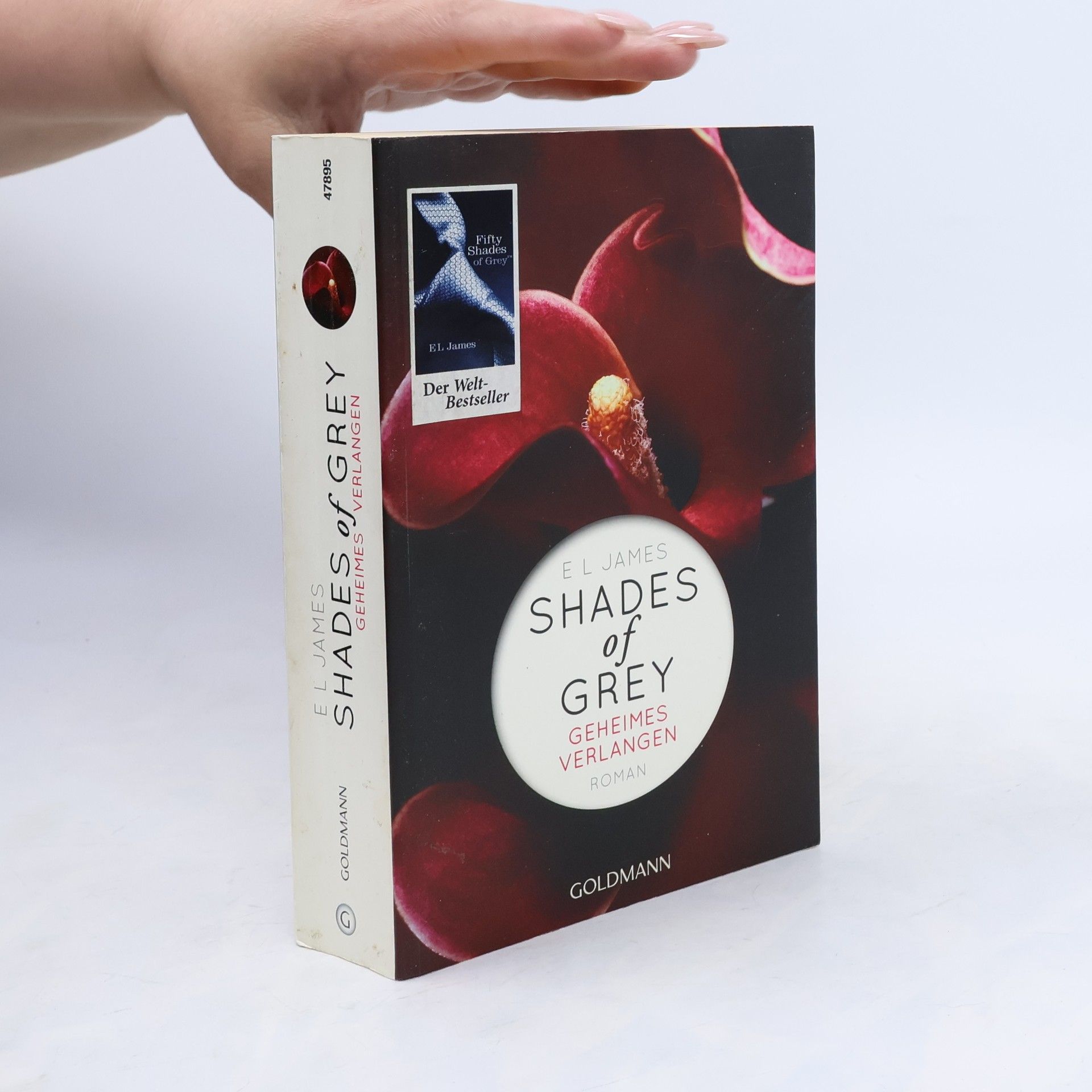 Shades of Grey. Geheimes Verlangen