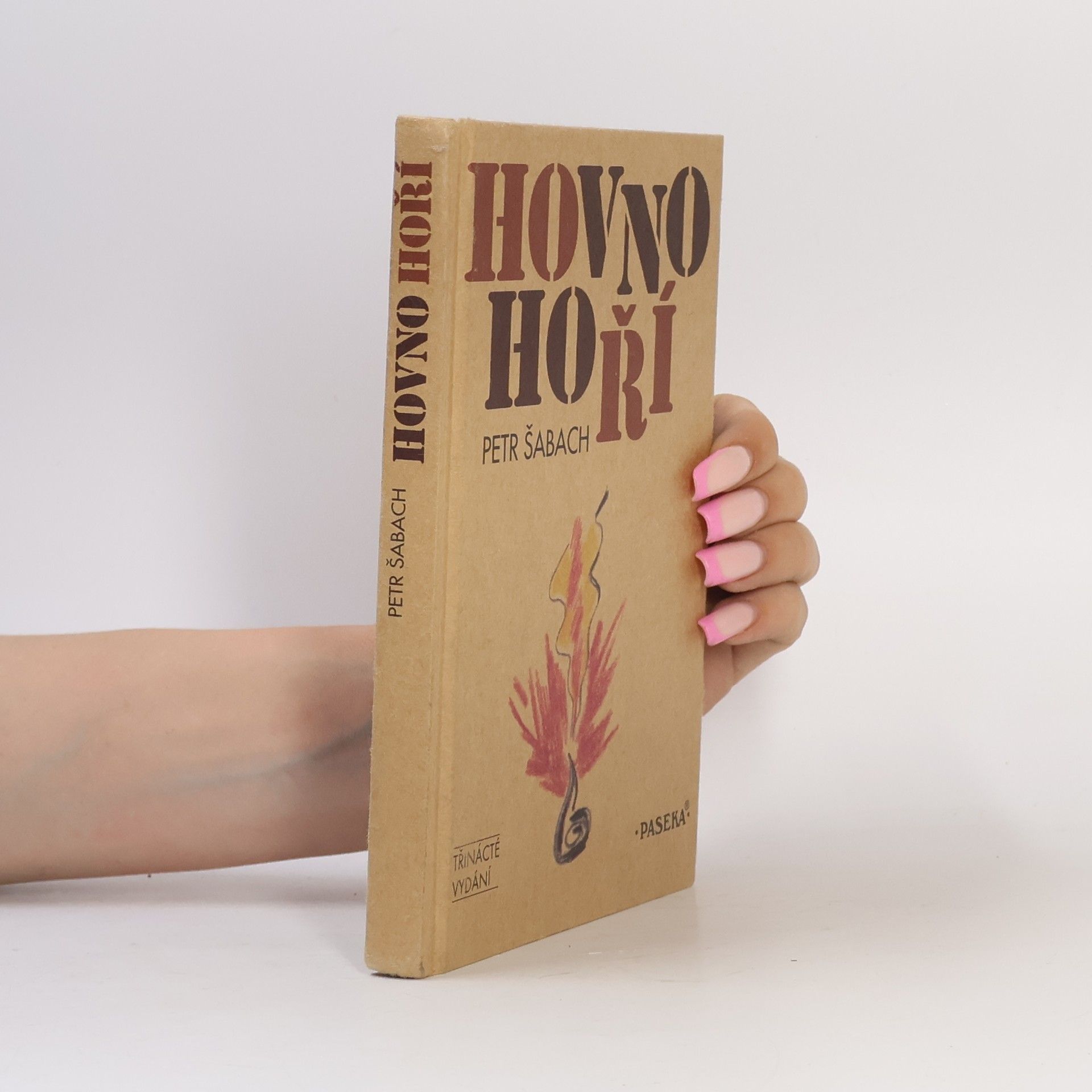Petr Šabach Hovno hoří