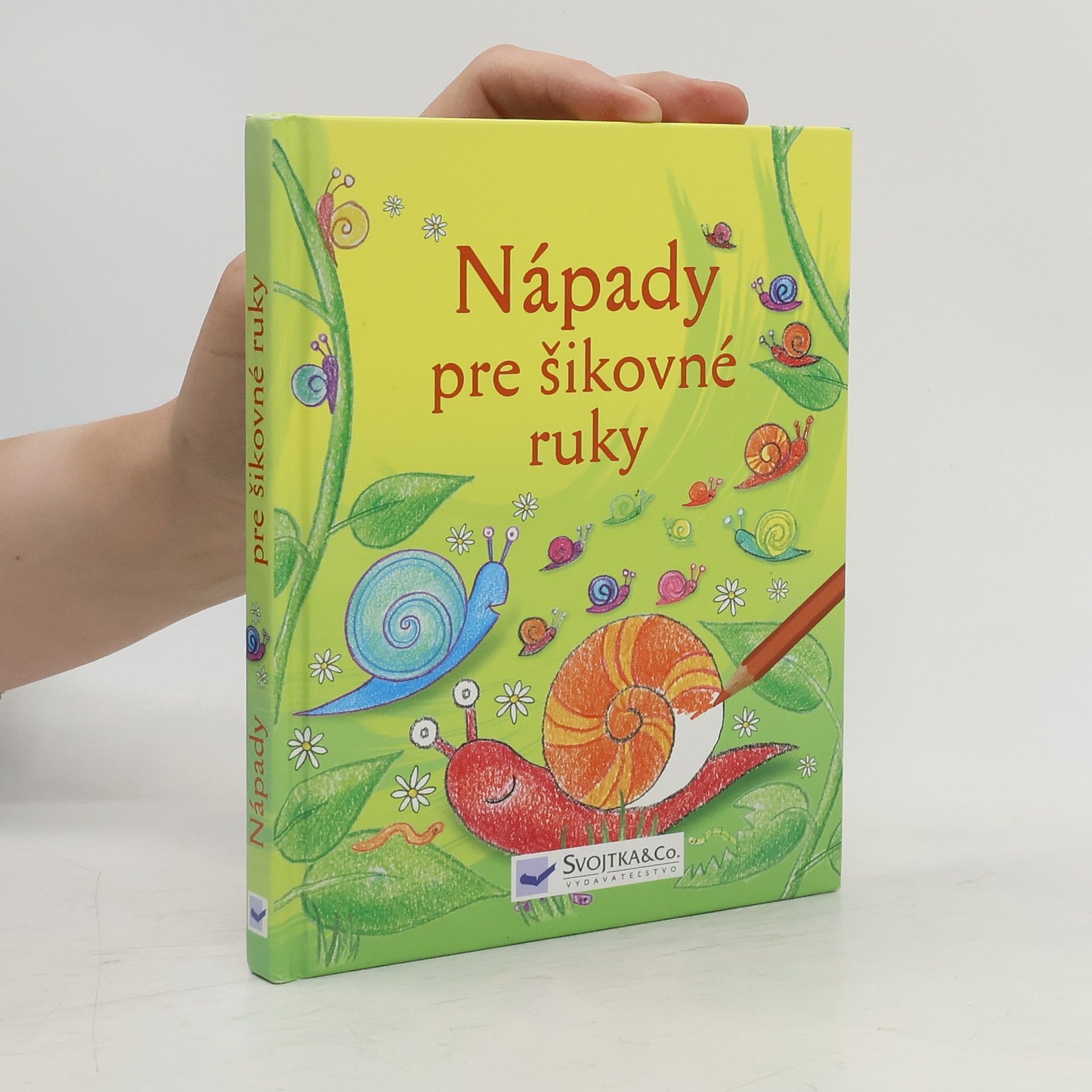 Ray Gibson Nápady pre šikovné ruky