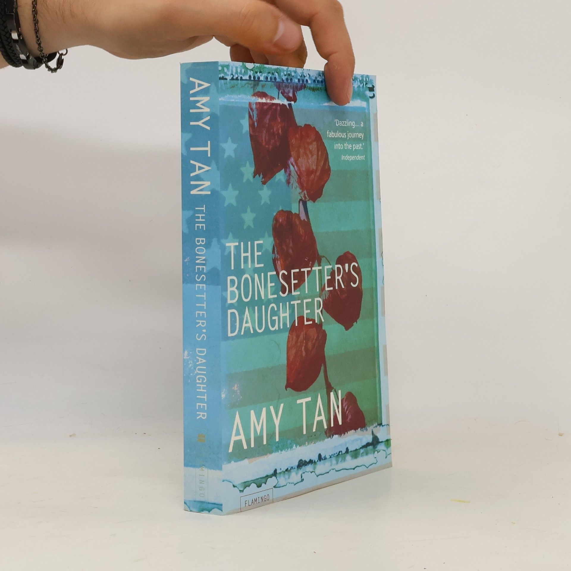 Amy Tan The bonesetter's daughter