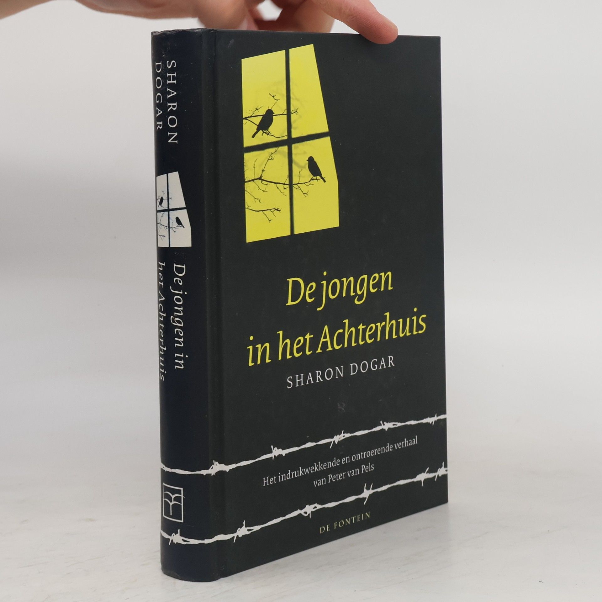Aimée Warmerdam De jongen in het Achterhuis