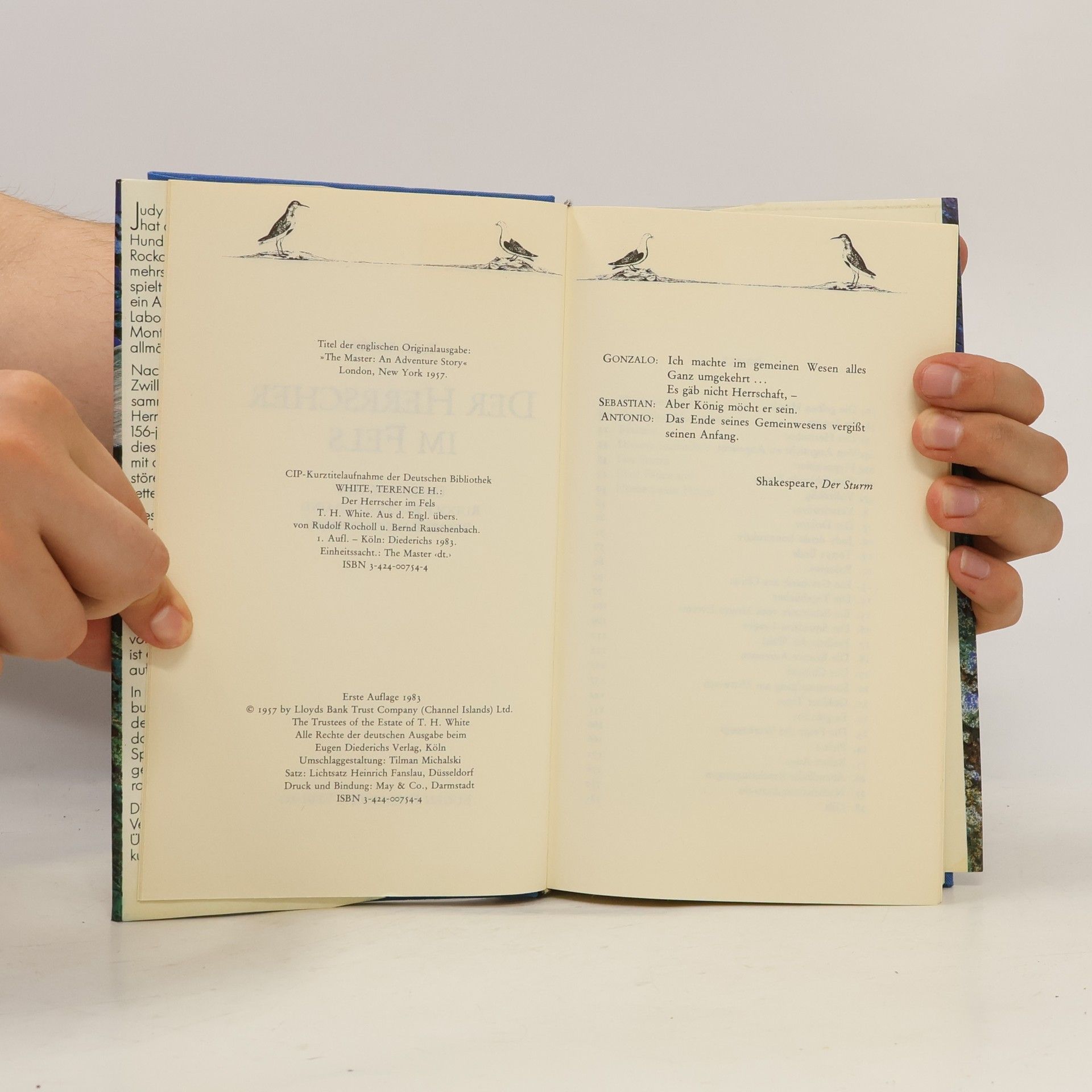 Terence H. White Der Herrscher im Fels