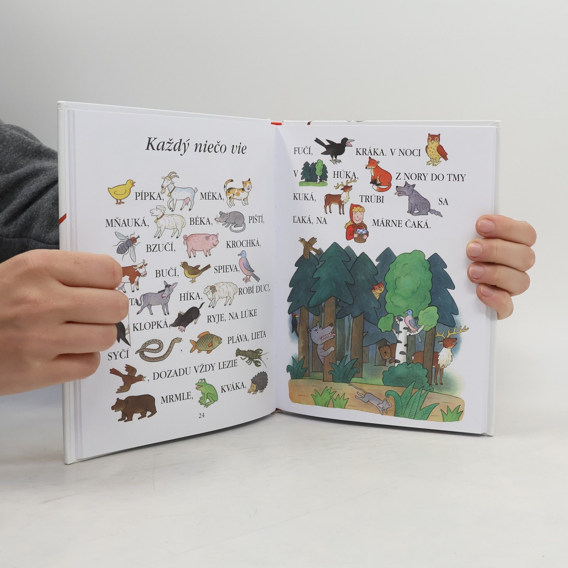 Collectif d'auteurs Maľované čítanie