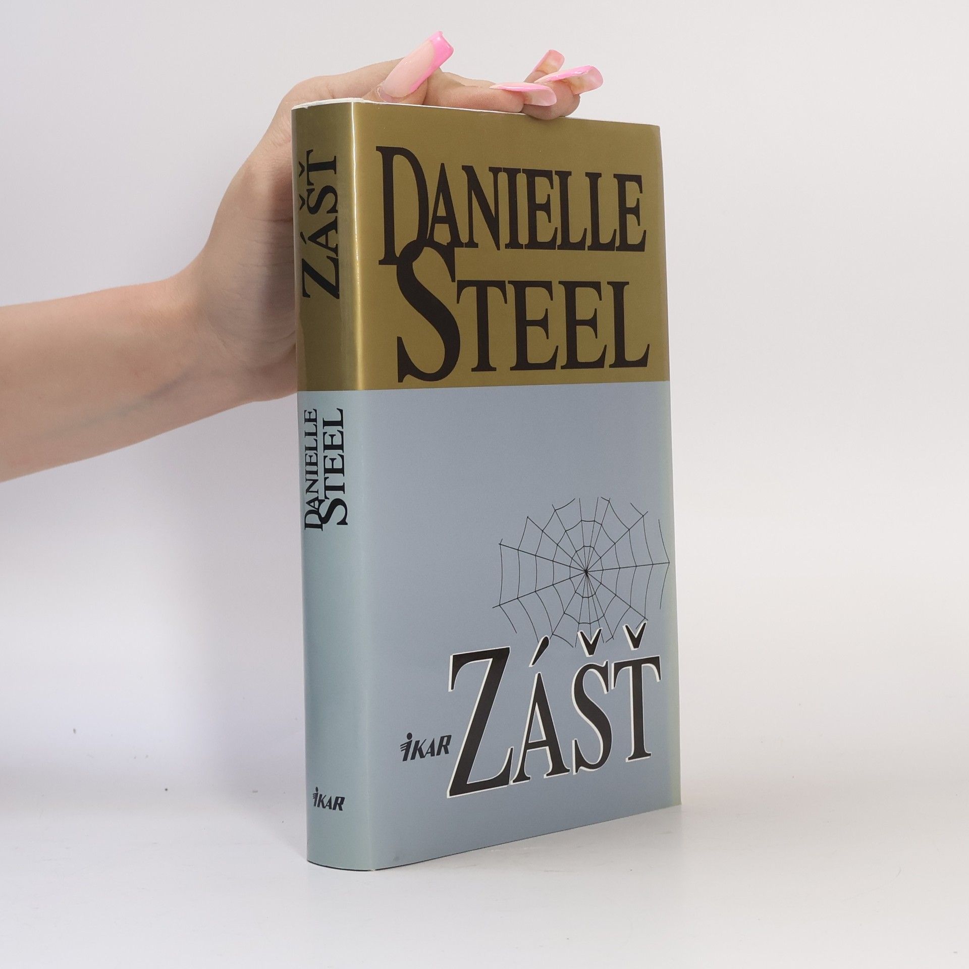 Danielle Steel Zášť