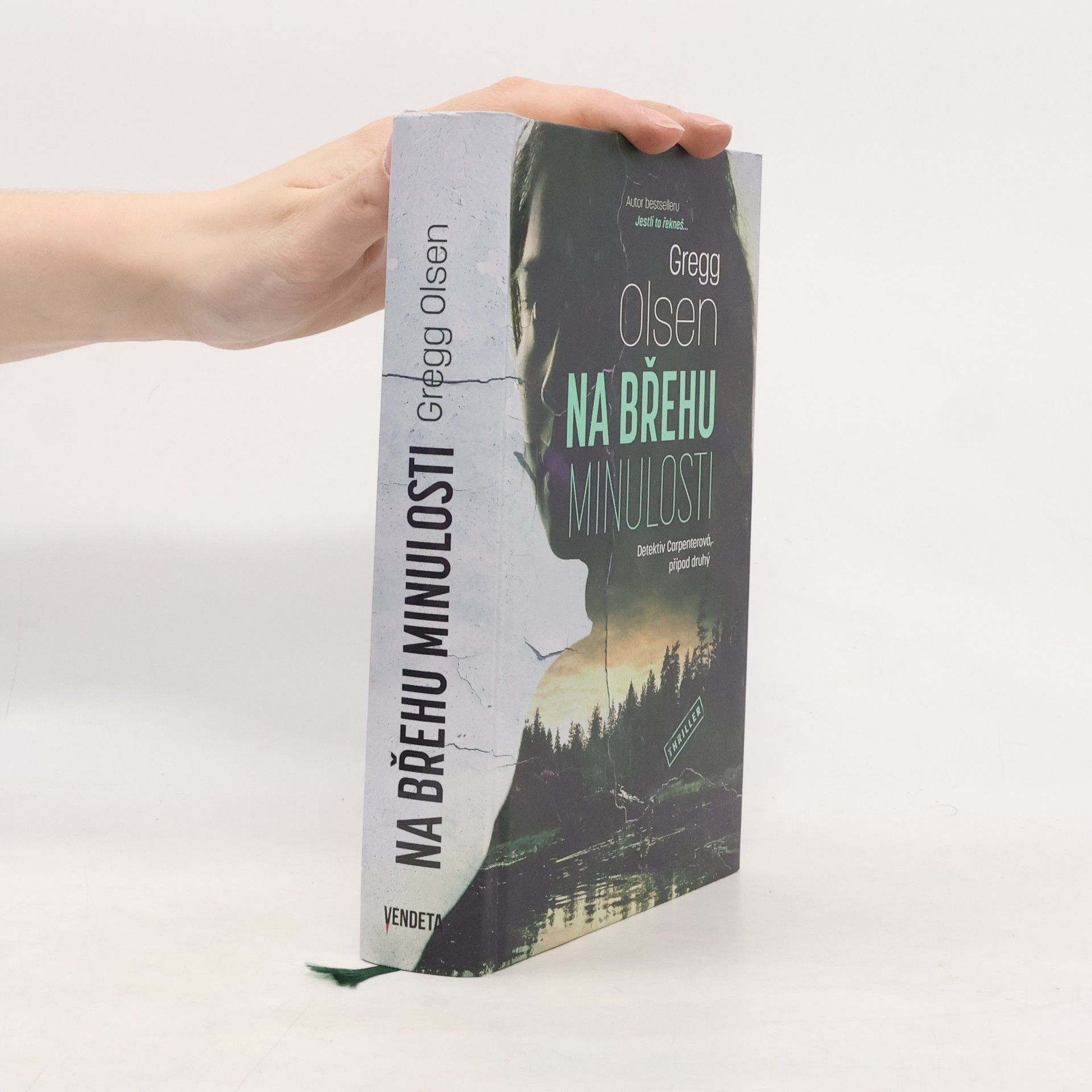 Gregg Olsen Na břehu minulosti