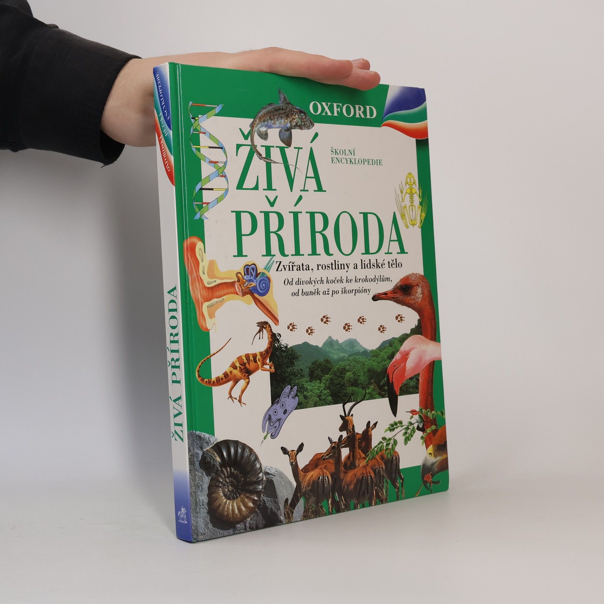 Markéta Hadačová Živá příroda