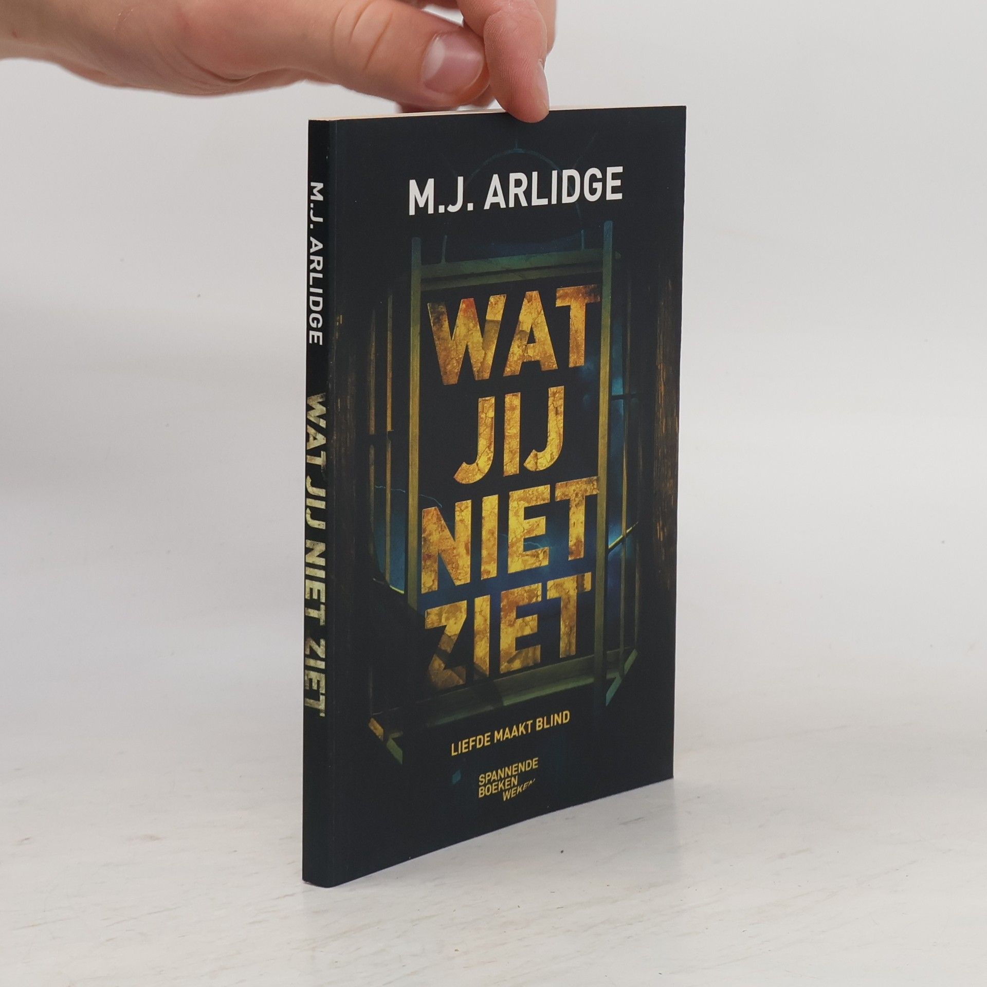 M. J. Arlidge Wat jij niet ziet