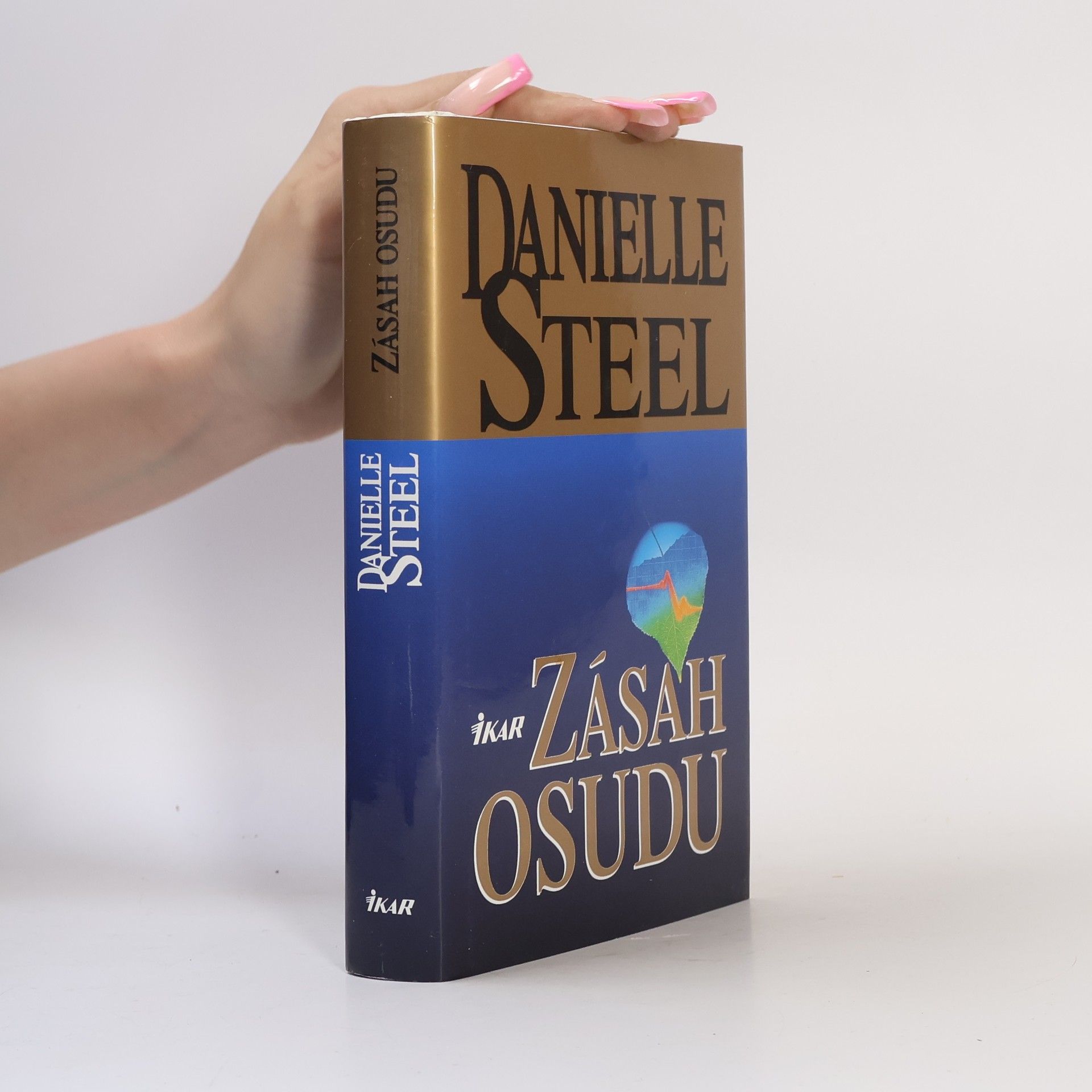 Danielle Steel Zásah osudu