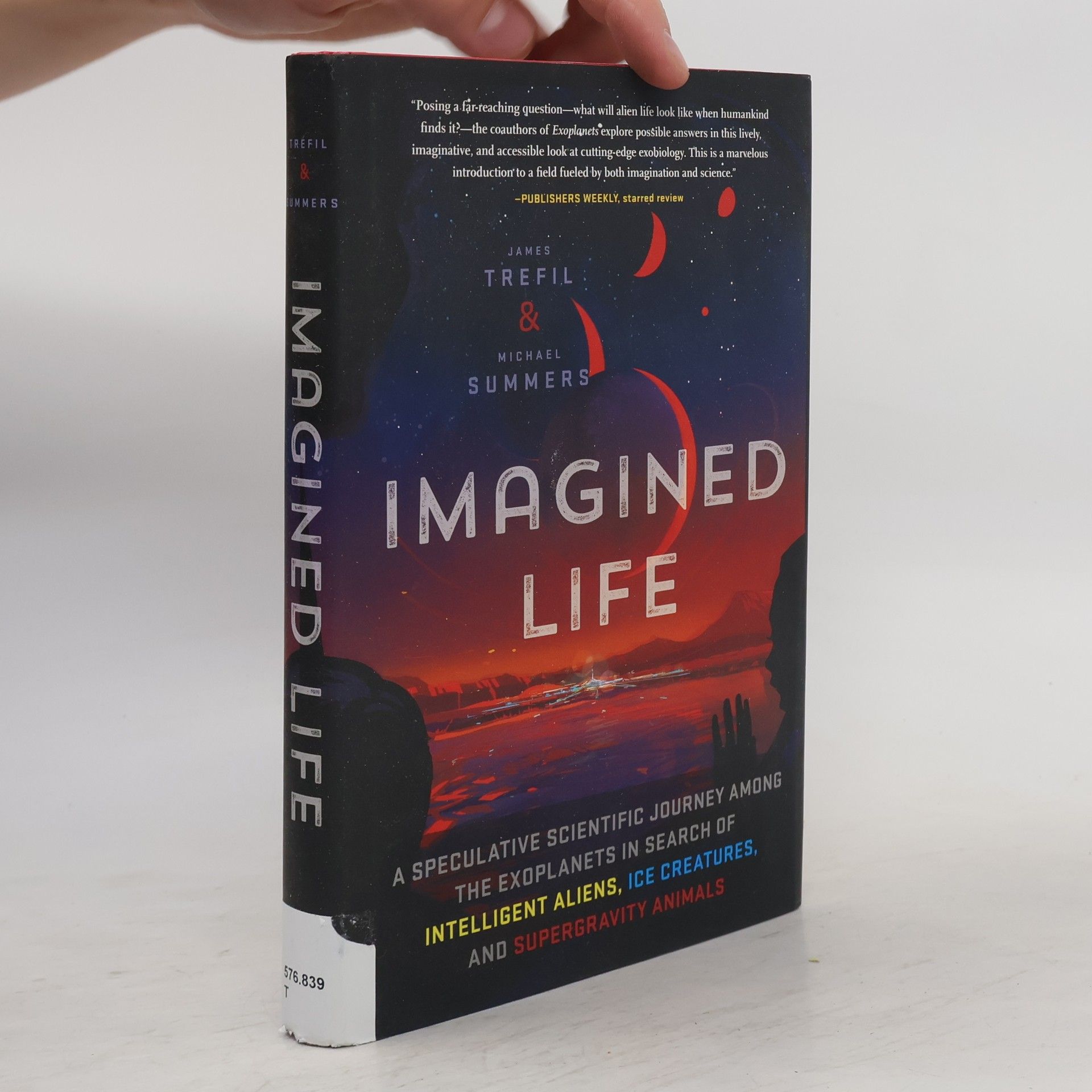 Michael Summerskill Imagined Life