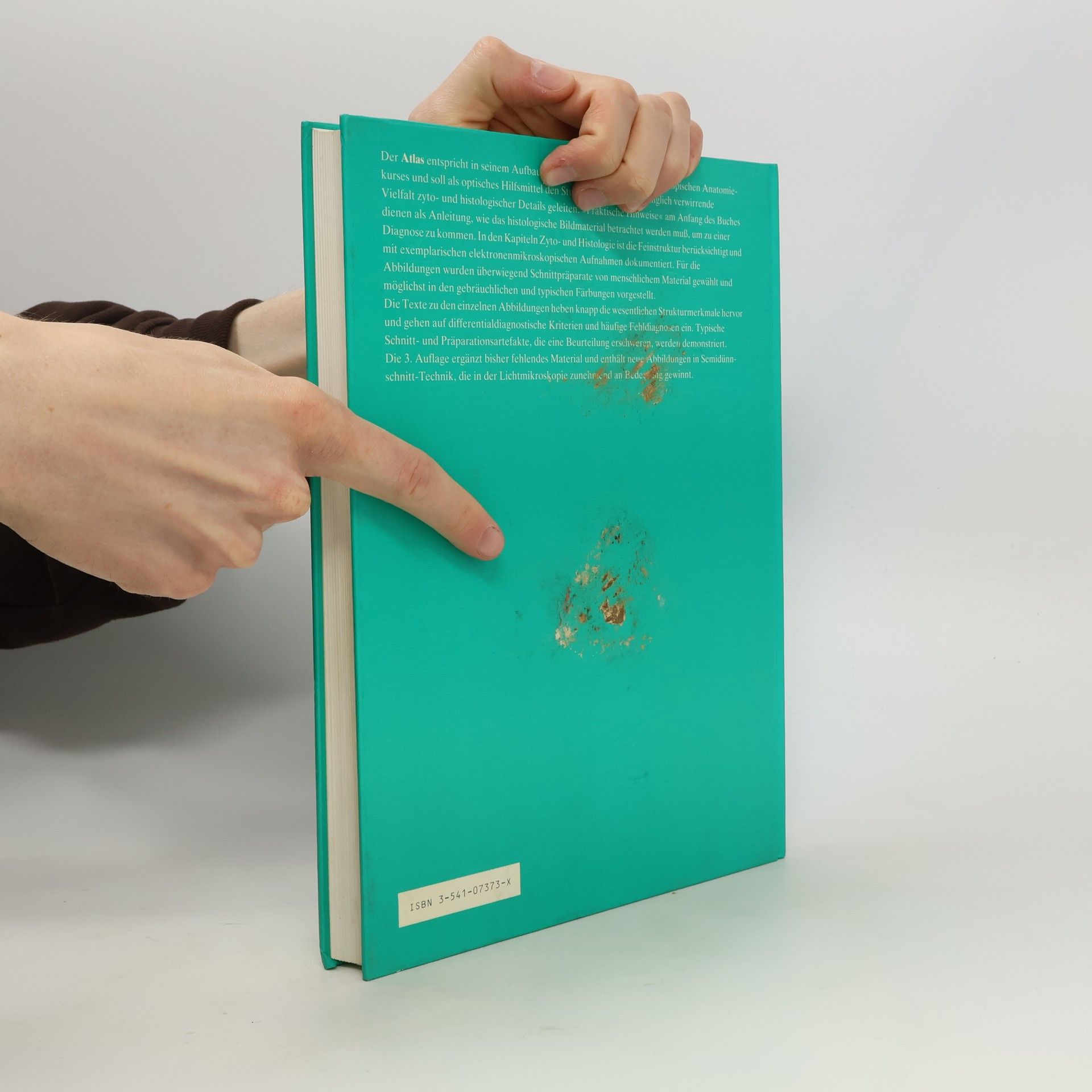 Frithjof Hammersen Histologie
