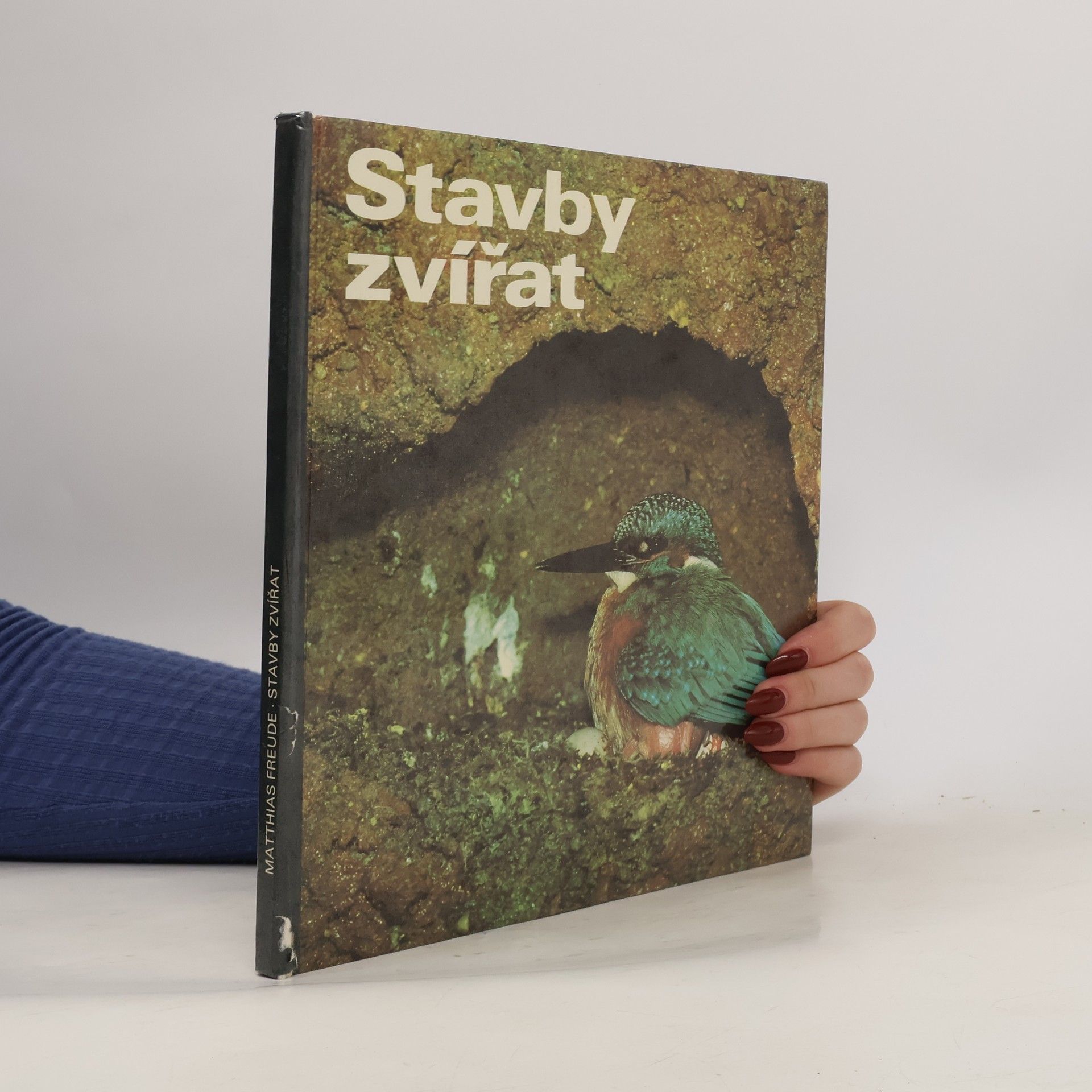 Stavby zvířat